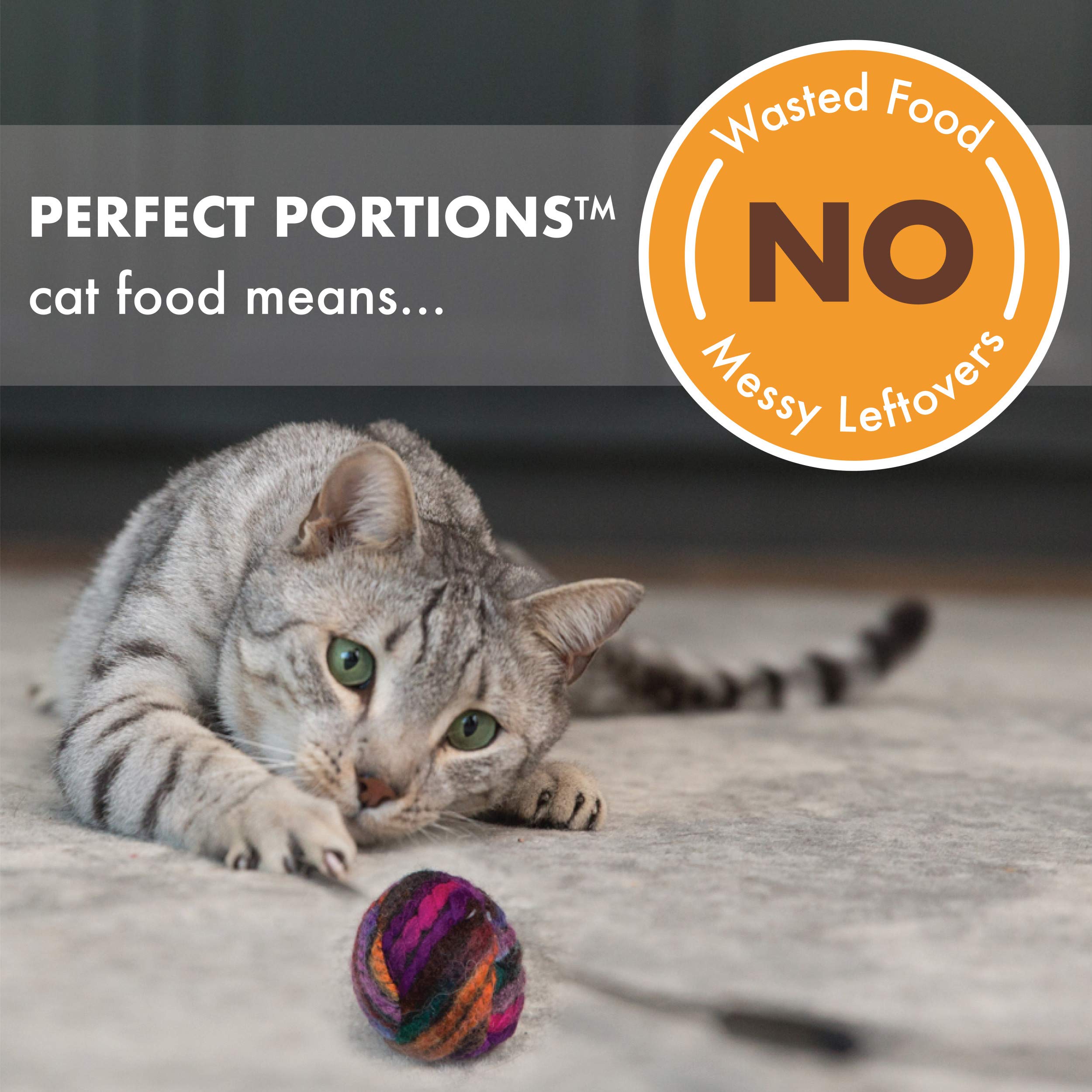 Nutro Wet Cat Food Pat   Multipack: Turkey Recipe and Chicken Recipe, 2.64 oz. Trays (12 Count, Pack of 2)