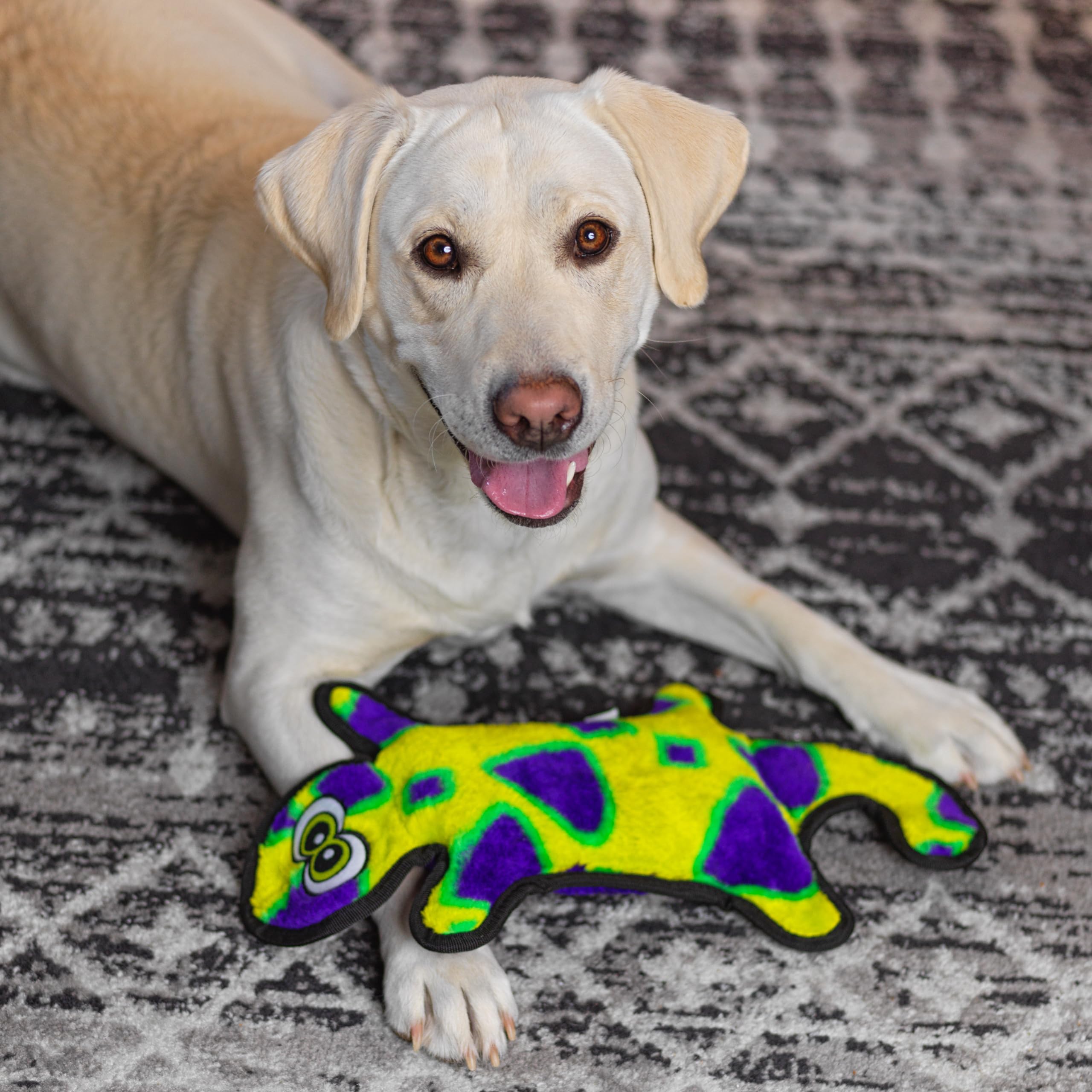 Outward Hound Tough Plush Squeaky Dog Toy, Gecko, Large, Green, Model 32072, Durable Polyester Material