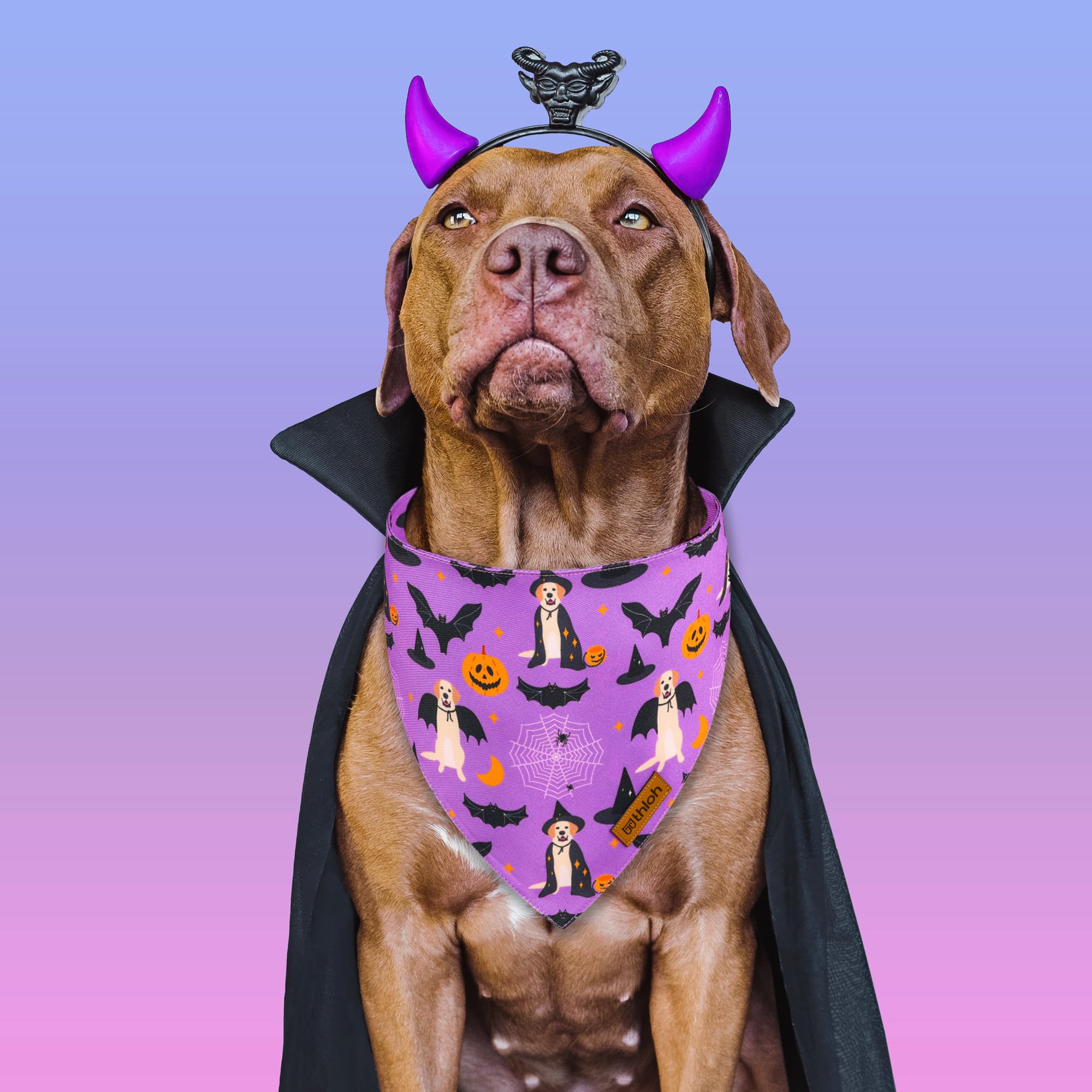 Thloh Halloween Dog Bandanas - 2 Pack Purple Dog Bandana With Snap Button | Reversible Pet Scarf For Boy & Girl | Premium Durabl