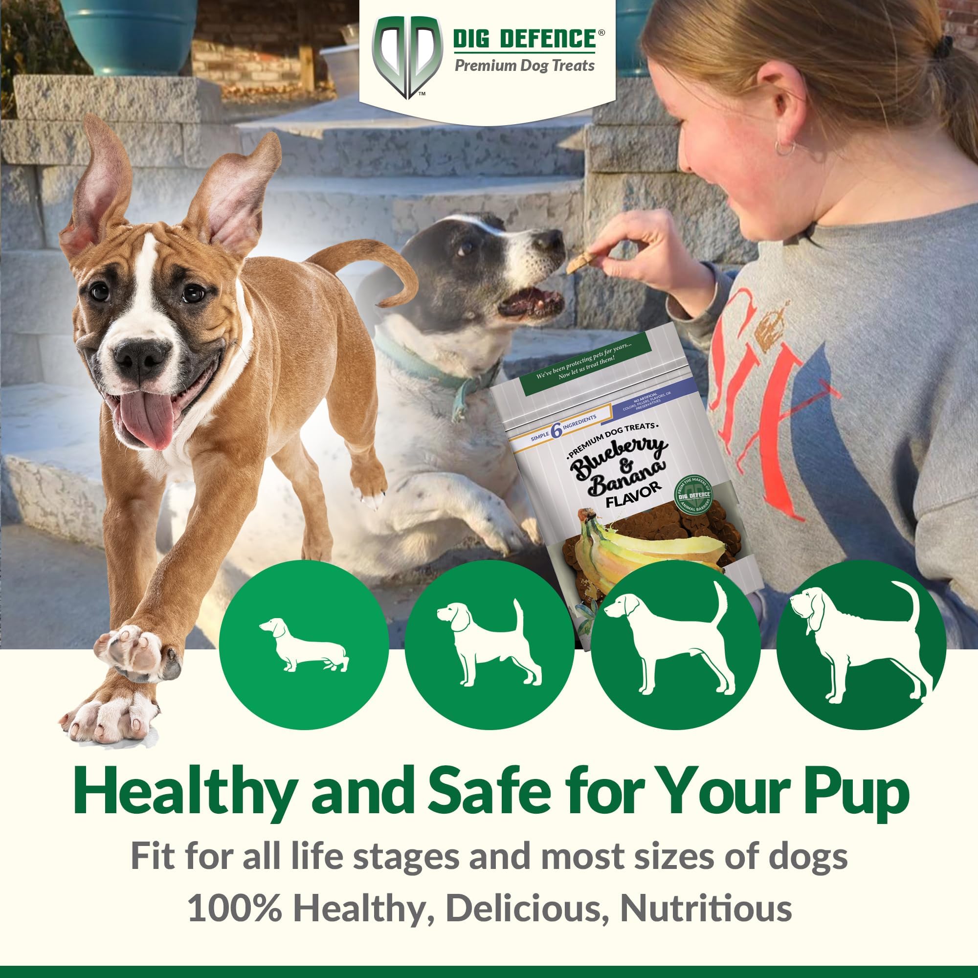 Dig Defence Premium Dog Treats - Blueberry and Banana, Natural Ingredients, Baked Gourmet Snacks for Small & Big Dogs, Healthy T