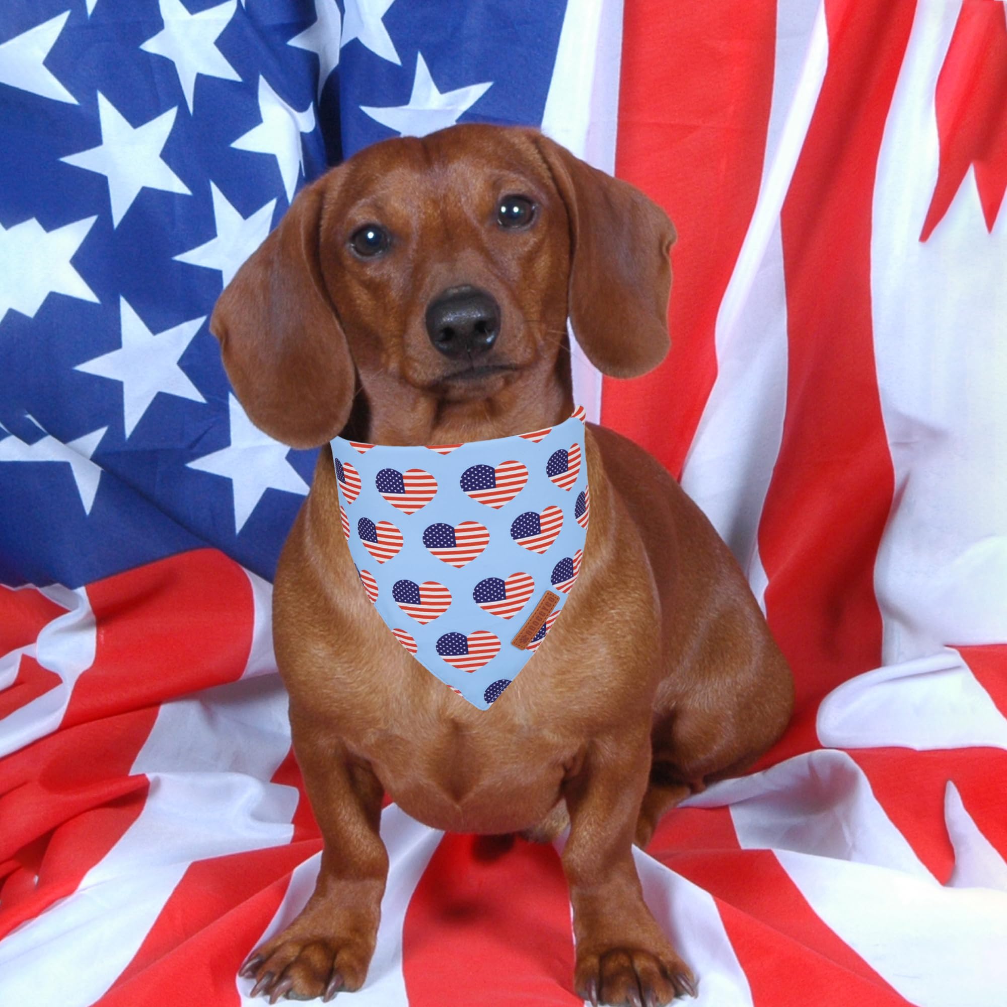 ADOGGYGO 4th of July Dog Bandanas, American Flag Pet Scarf, Multi Size Offered, White Blue Flag Bandana for Small Dogs Pets (Sma