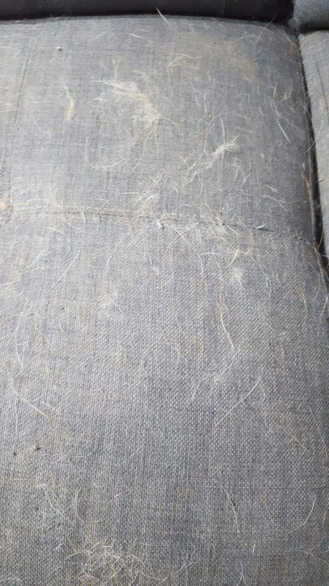 Mimi Pet Hair Remover - Remove Dog, Cat And Other Pet Hair From Furniture, Carpet, Bedding And Clothing - 2 Sponge