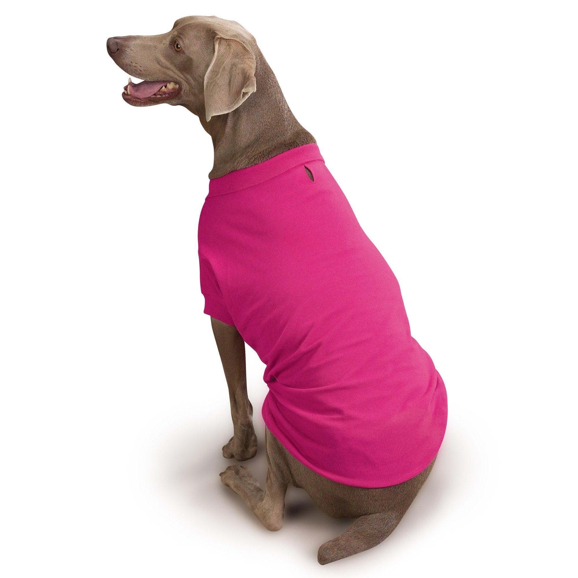 Zack & Zoey Cotton Polo Shirt For Dogs, 20' Large, Raspberry Sorbet