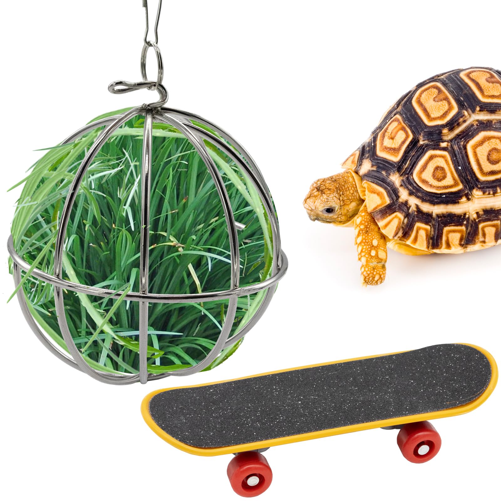 Niuohoy Tortoise Treat Ball And Mini Turtle Skateboard Set, Training Skateboard Toy & Tortoise Treat Ball Hanging Feeding Turtle