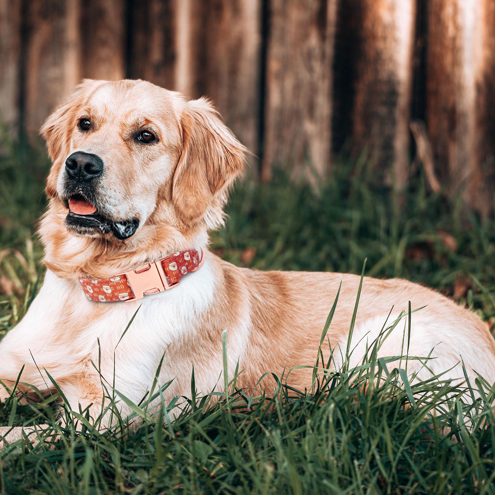 HSIGIO Dog Collar and Leash Set Girls Adjustable Puppy Collars with Christmas Bow Tie for Small Medium Large Female Dogs, Red Sa