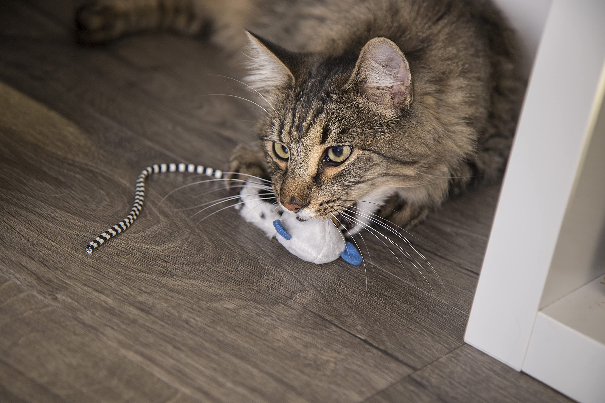 Petlinks Happynip Lemur Lights Electronic Light Cat Toy, Contains Silvervine & Catnip, Battery Powered - Black/White, One Size