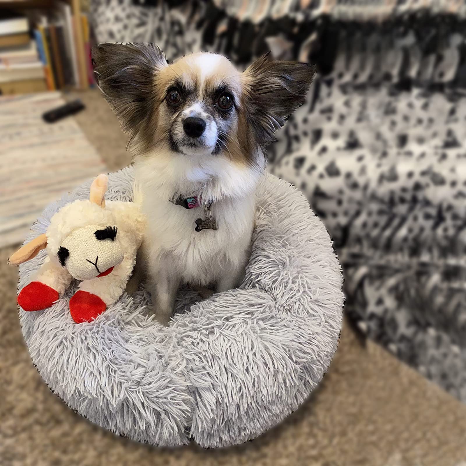 Nononfish Dog Bed For Small Dogs
