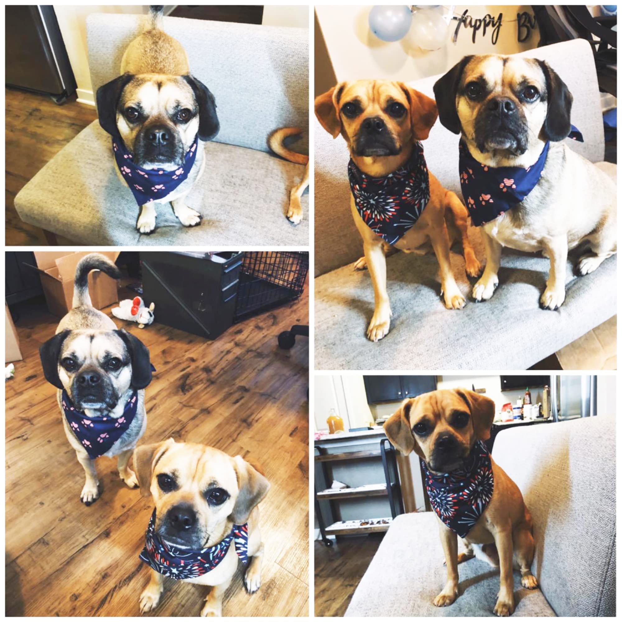 Adoggygo American Flag Dog Bandana, Multiple Sizes Offered, Triangle 4Th Of July Bandanas For Medium Large Dogs (Large)