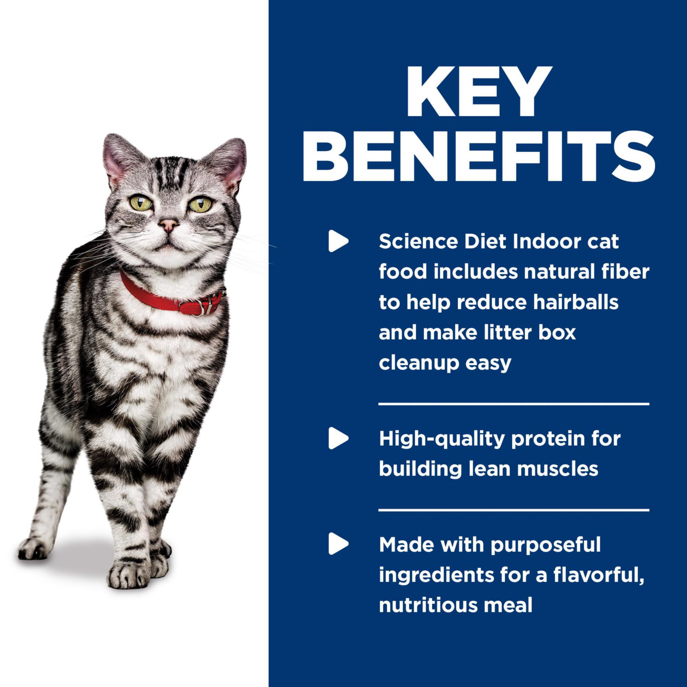 Hills Science Diet Indoor, Adult 1-6, Easy Litter Box Cleanup, Wet Cat Food, Ocean Fish Minced, 5.5 oz Can, Case of 24