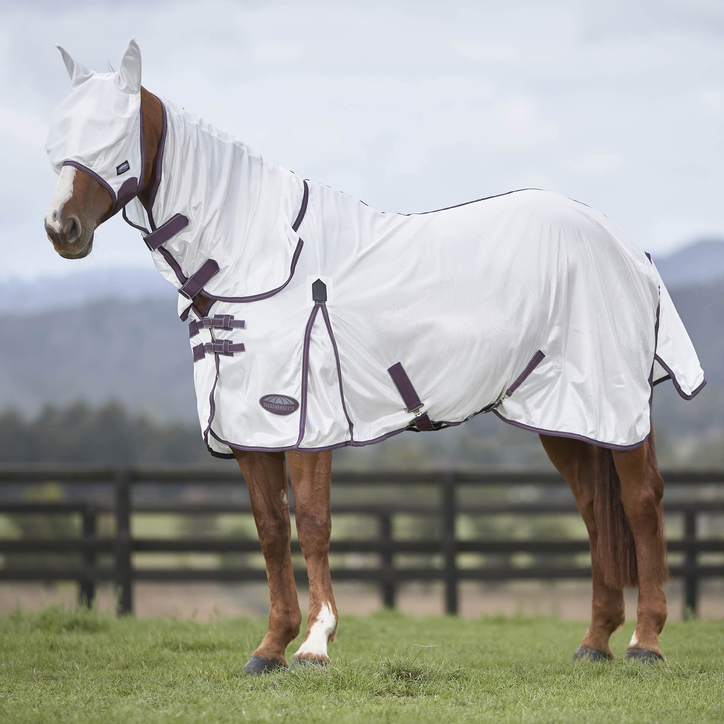 WeatherBeeta ComFiTec Essential Mesh Mask, White/Maroon/Grey, Pony