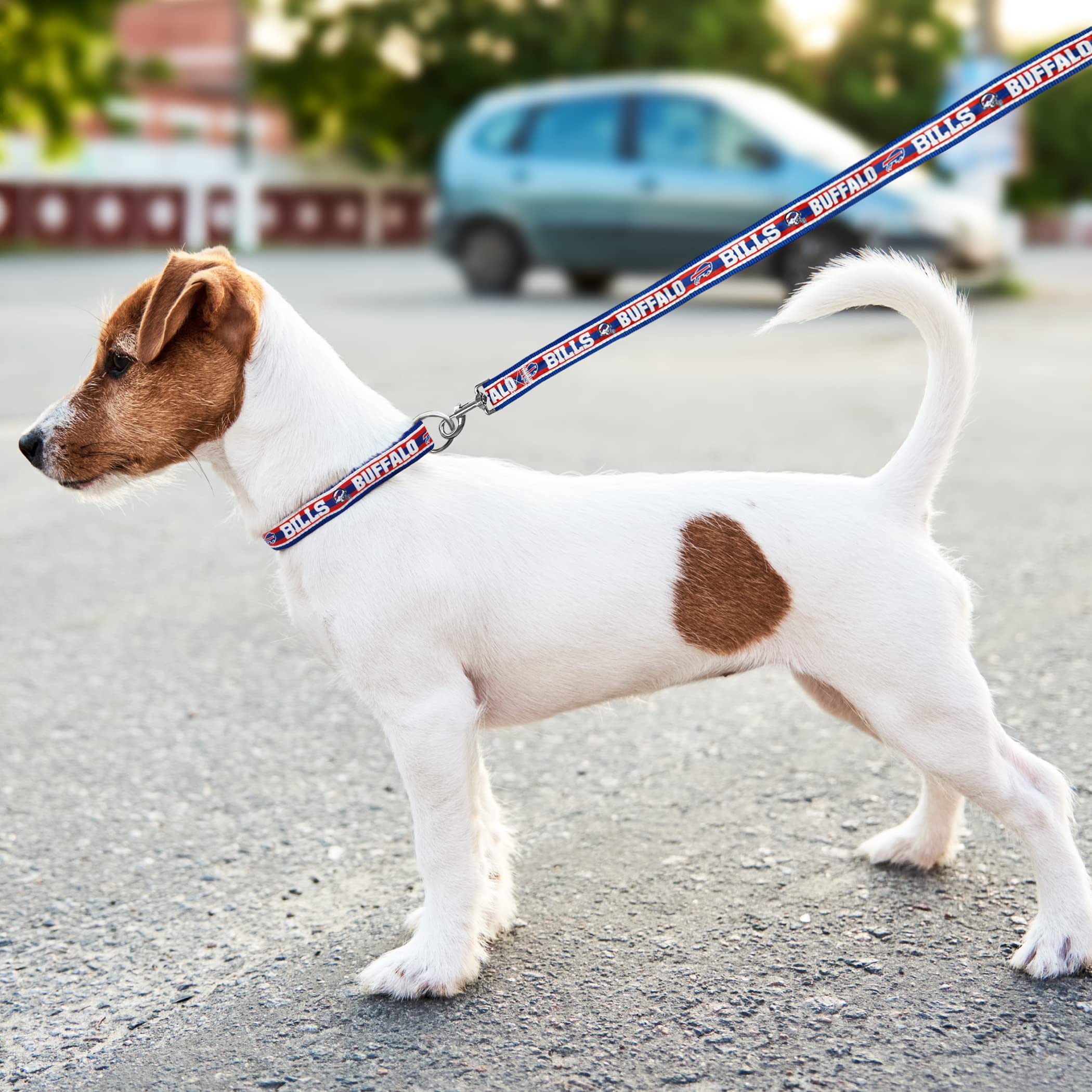 Pets First NFL Buffalo Bills Licensed PET COLLAR, Large - Heavy-Duty, Strong, and Durable Dog Collar. Available in 31 Football T