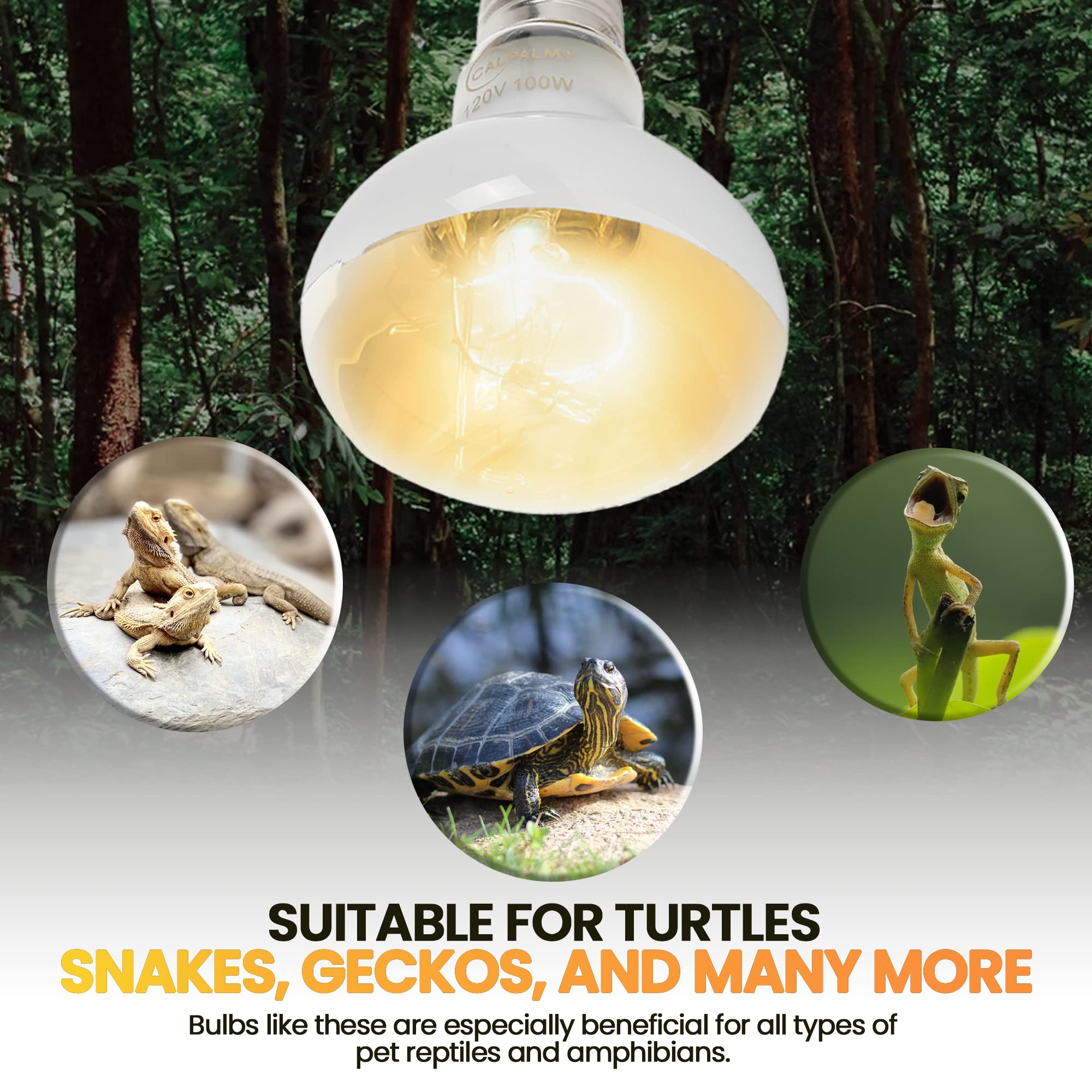 CALPALMY (4-Pack 100W Reptile Heat Lamp Bulbs - UVA Daylight Basking Light Bulbs for Reptiles, Turtles, Lizard, Bearded Dragon a