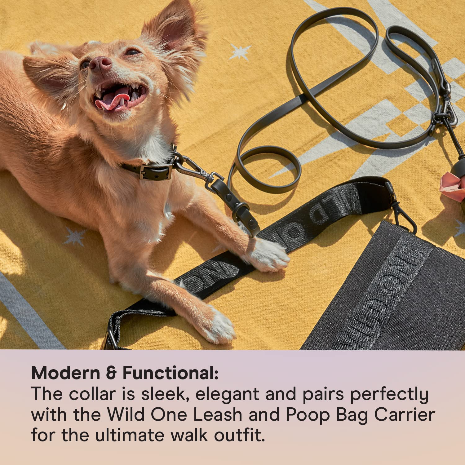 Wild One Dog Collar, Easy-Clean, All Weather Flex-Poly Strap With Metal, Durable, Dirt And Odor Resistant (Black, S)