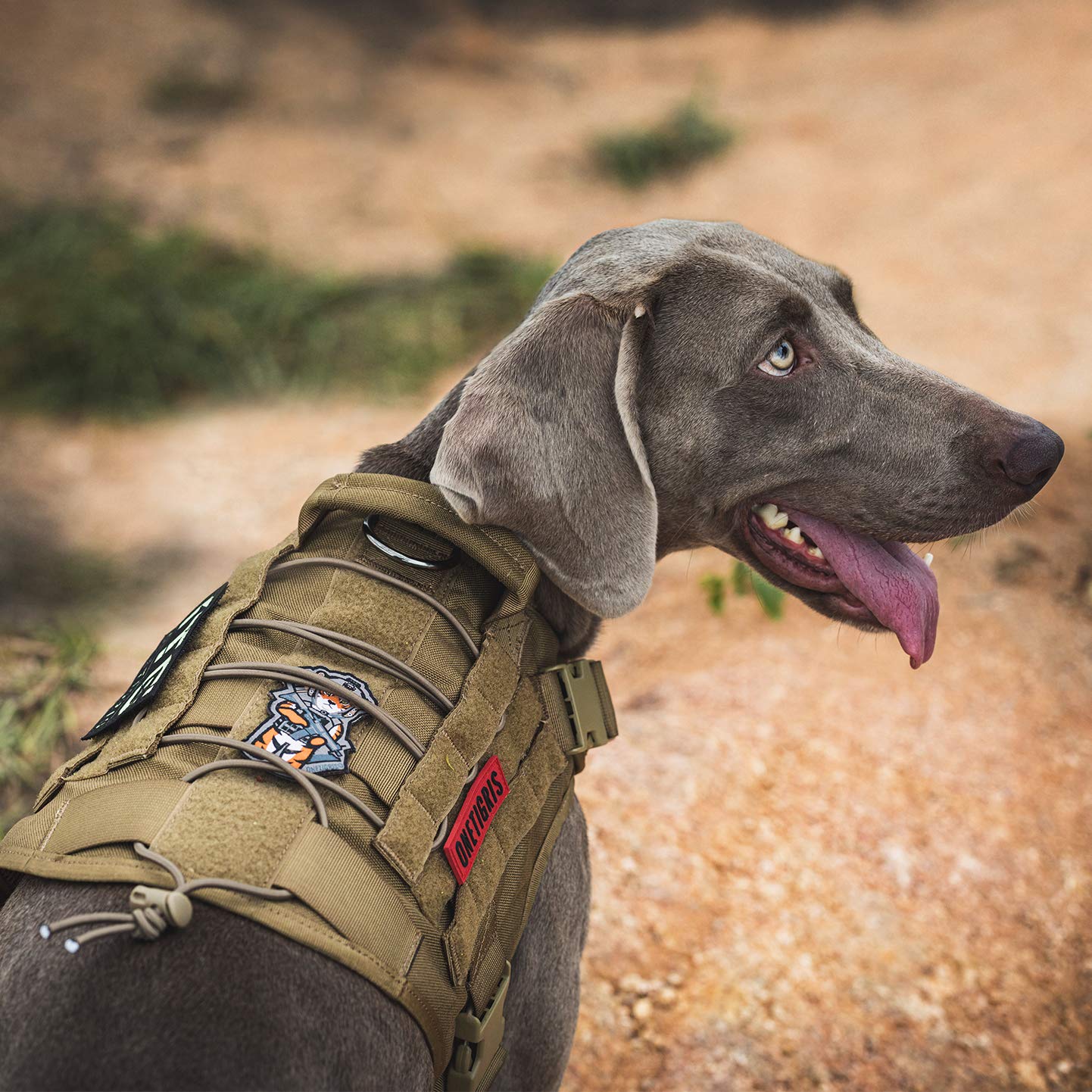 OneTigris Dog Harness,Tactical Dog Harness with Handle,No-Pull Service Dog Vest with Hook & Loop Panels,Adjustable Dog Vest Harn