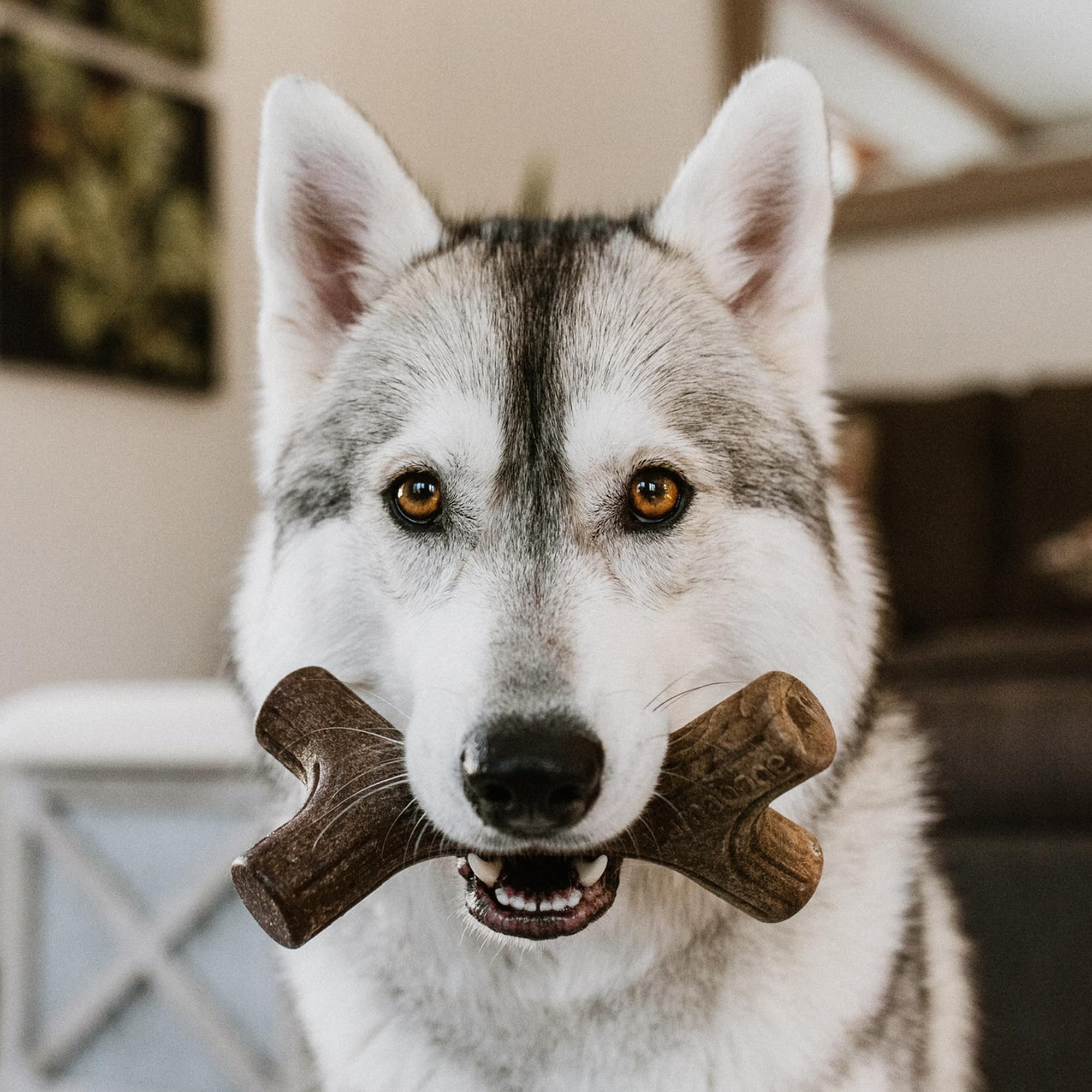 Lumabone Real Bacon Medium 3-Pack Durable Dog Chew Toys For Aggressive Chewers, Made In Usa – Wishbone, Zaggler, Stick