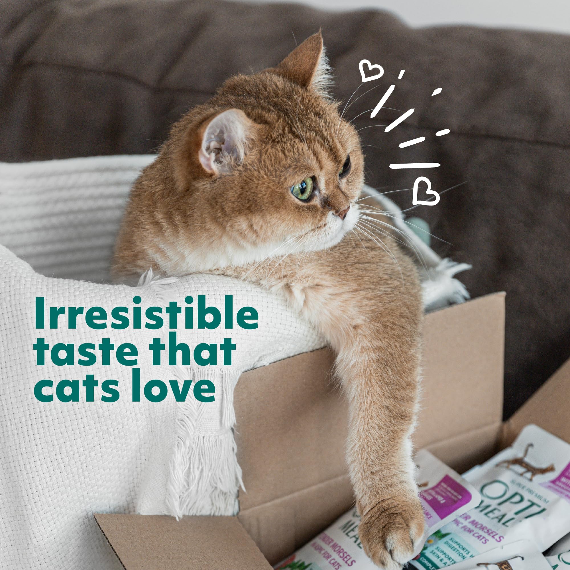 Optimeal Grain-Free Wet Cat Food Pouches, Beef & Rabbit in Gravy, High Protein, 3 oz (Pack of 12)
