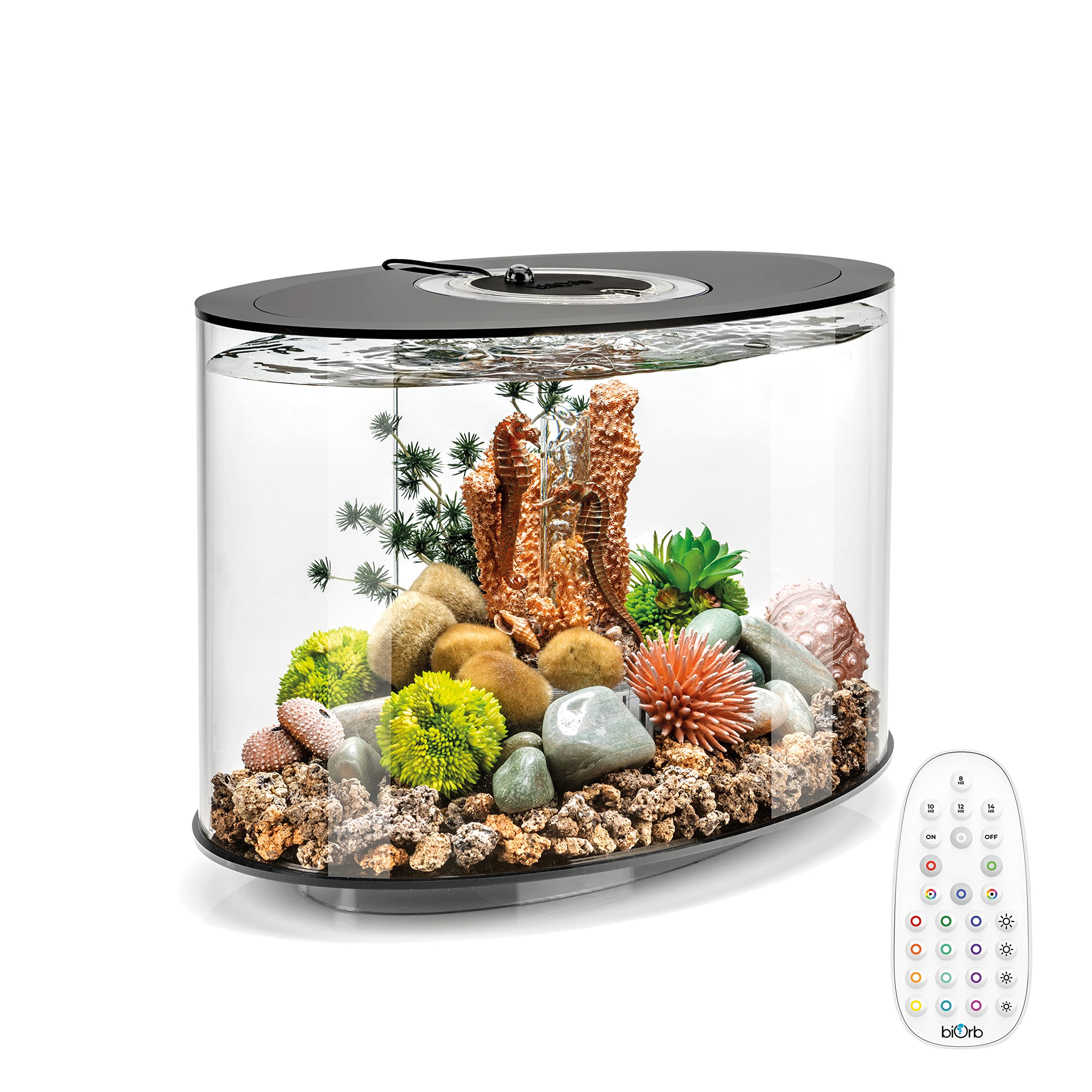 biOrb Loop 15 Acrylic 4-Gallon Aquarium with Multi-Color Remote-Controlled LED Lights Modern Compact Tank for Tabletop or Deskto