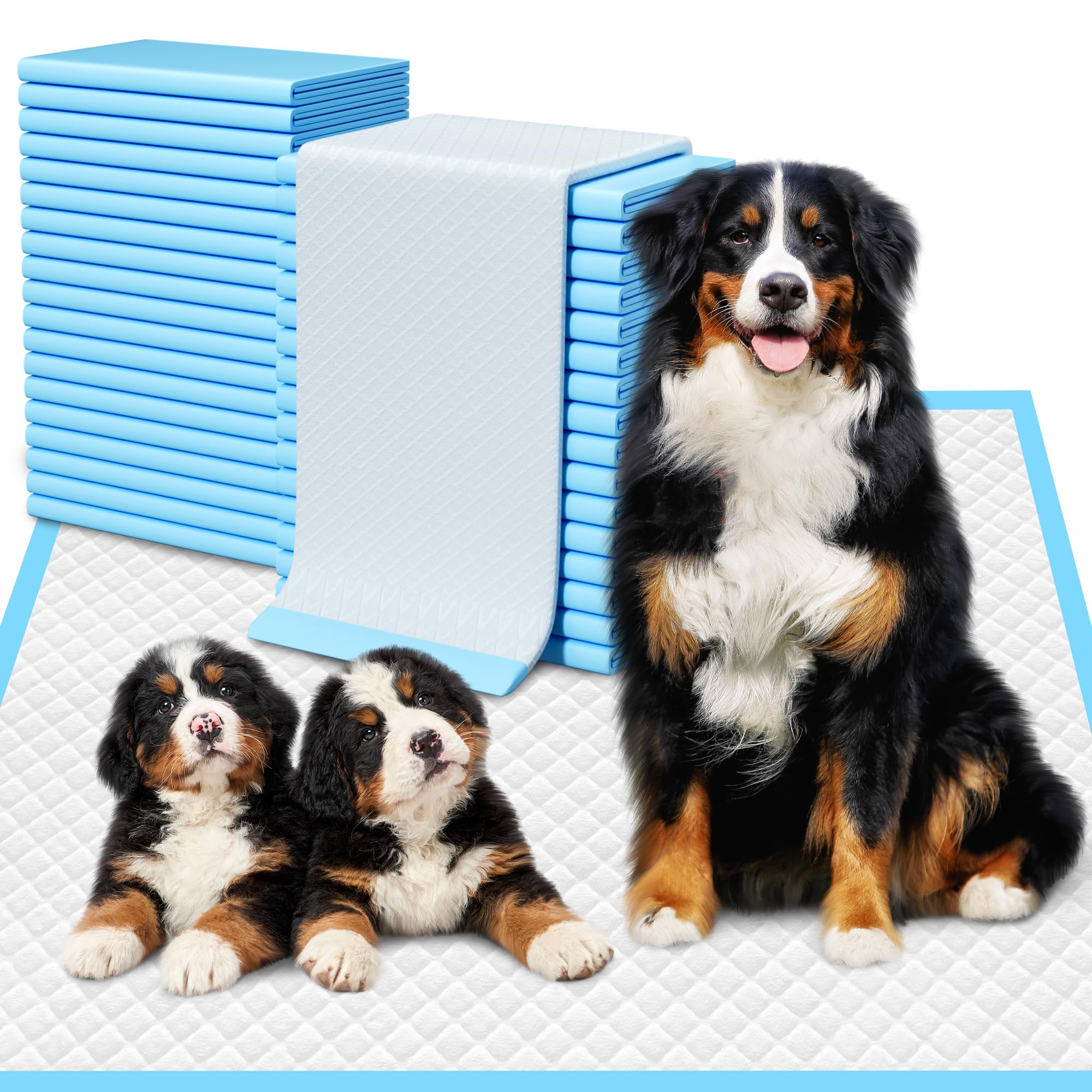 Extra Large Puppy Pads 28 x 34-30 Count, Super Absorbent Dog Pee Pads Quick Drying Leak-Proof X-Large Dog Training Pads Disposab