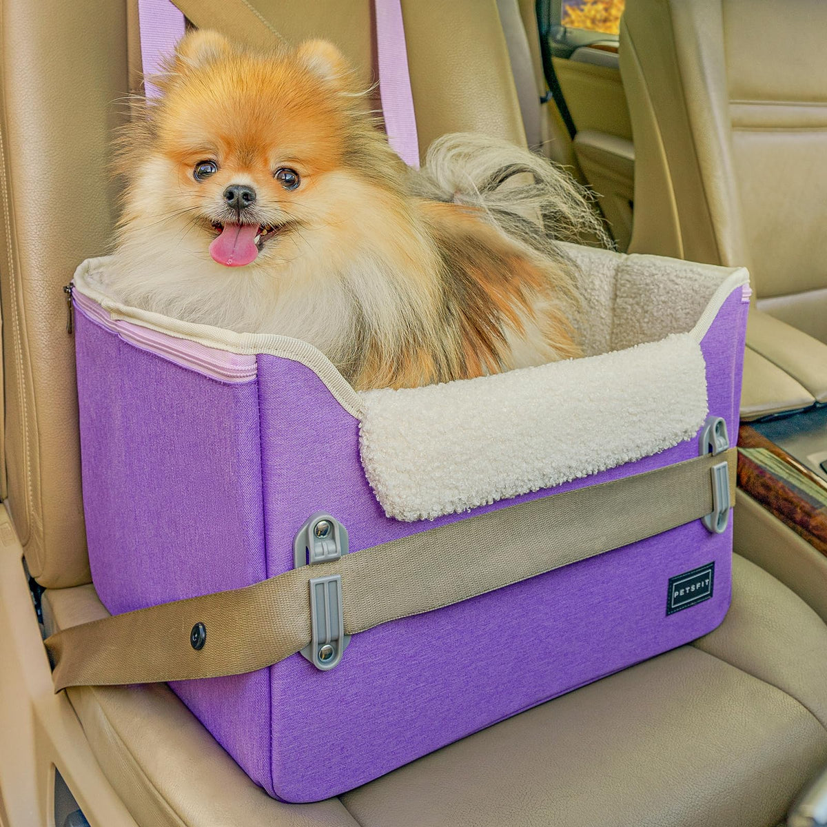 Petsfit Small Dog Car Seat, Puppy Portable Dog Booster Seat For Car With Clip-On Leash, Adjustable Straps Suitable For Small Pets Up To 25Lbs (Purple)