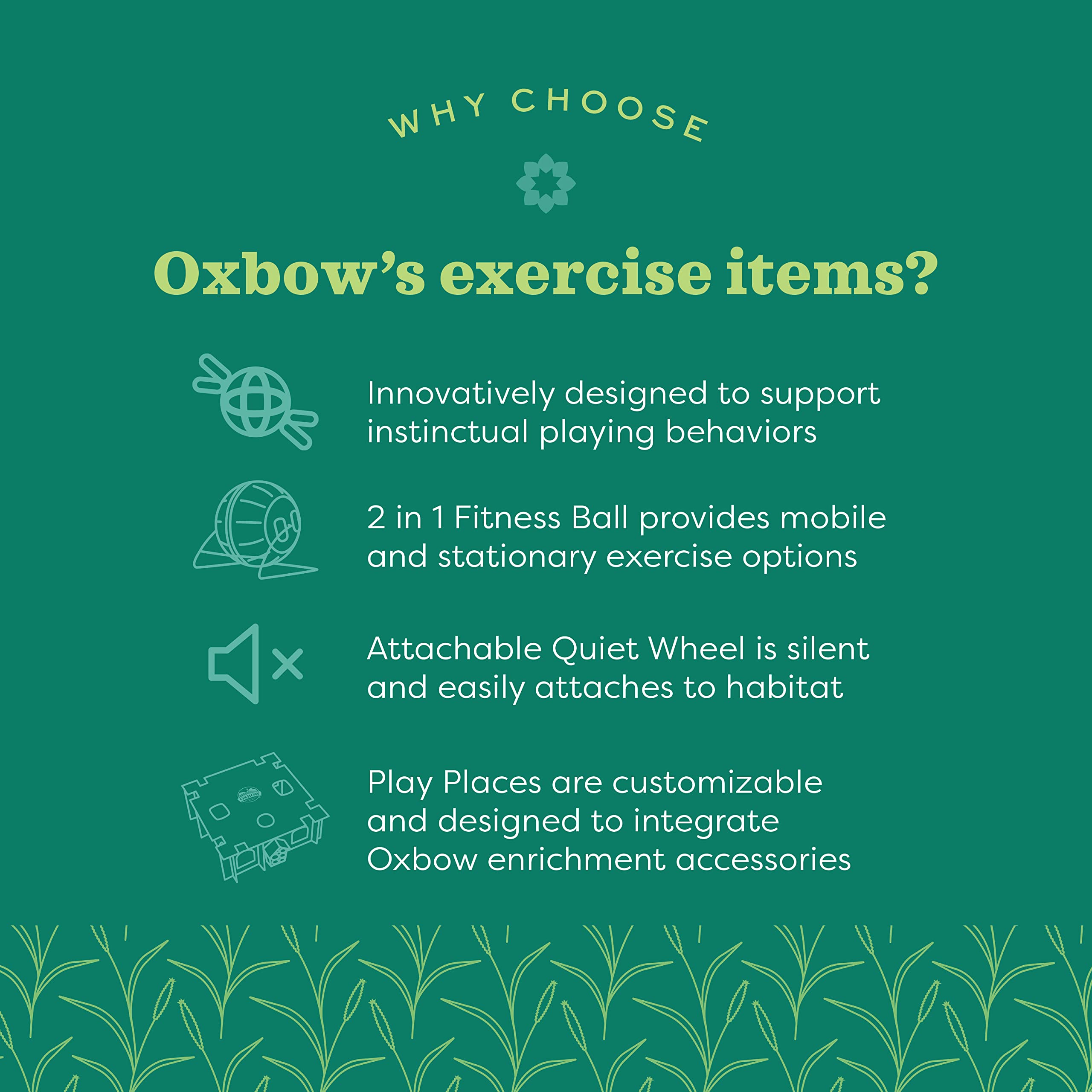 Oxbow Enriched Life Small Animal Accessories - Exercise Wheel For Dwarf Hamsters & Mice - 2 In 1 Quiet Runner - 8 Inch