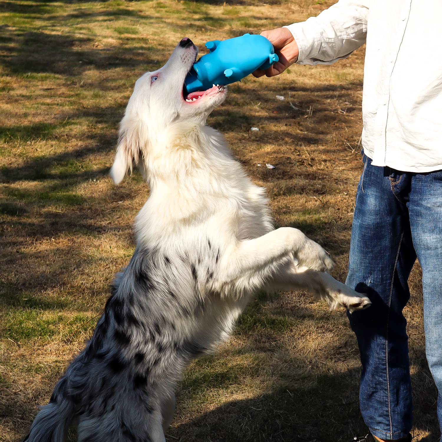 Vimigoo Latex Grunting Pig Sound Play Dog Toy ,Spueaky Dog Toy, Squeeze Pig Toy For Dogs ,Pig Dog Toy That Oinks,Pig Dog Toy 8'