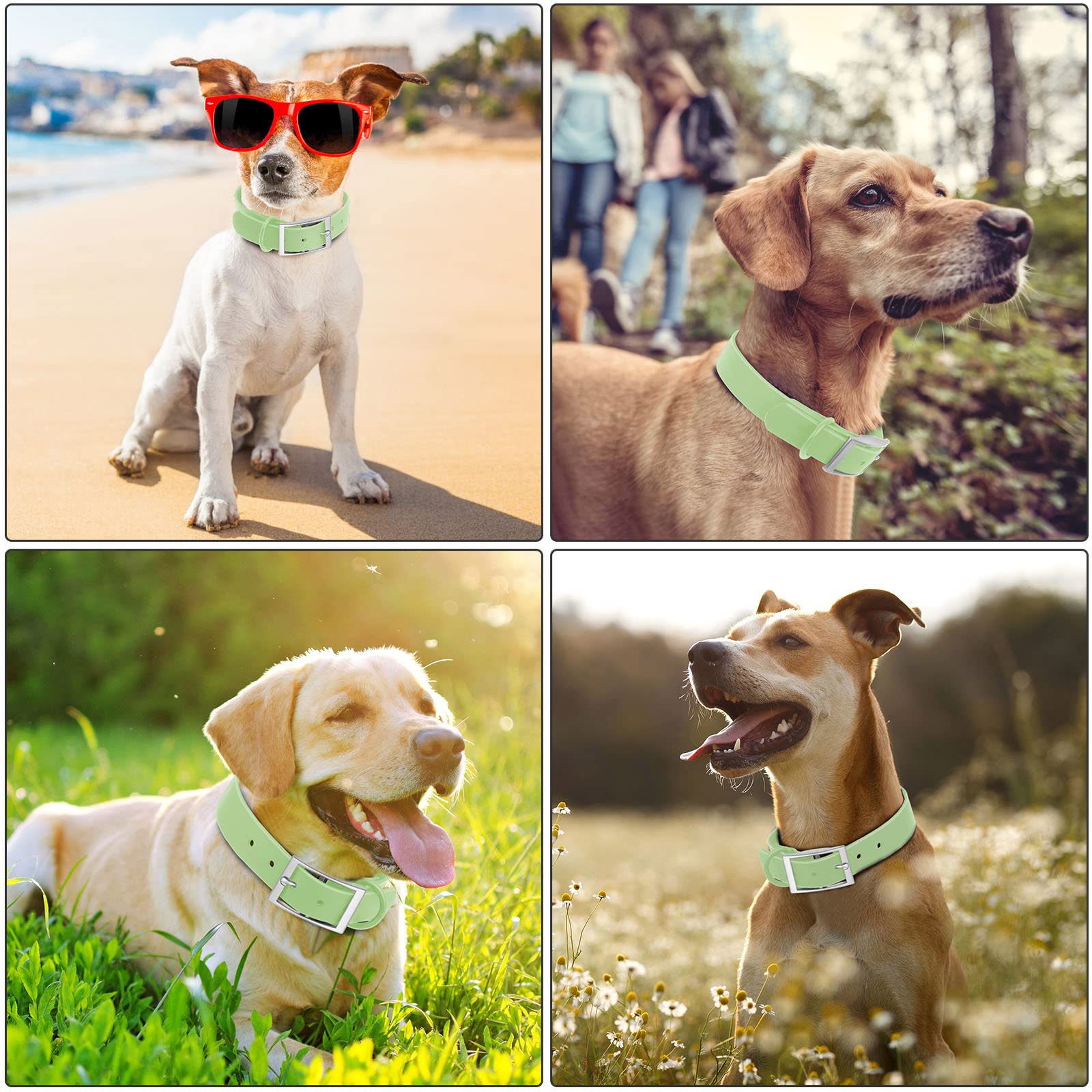 Wisedog Waterproof Dog Collar: Multiple Adjust 8.5” To 32.6”, Soft Rubber Coated Webbing, Easy To Clean, For Small Medium Large Dogs (Xl(Length:18'-23.6'; Width:1'), Mint Green)
