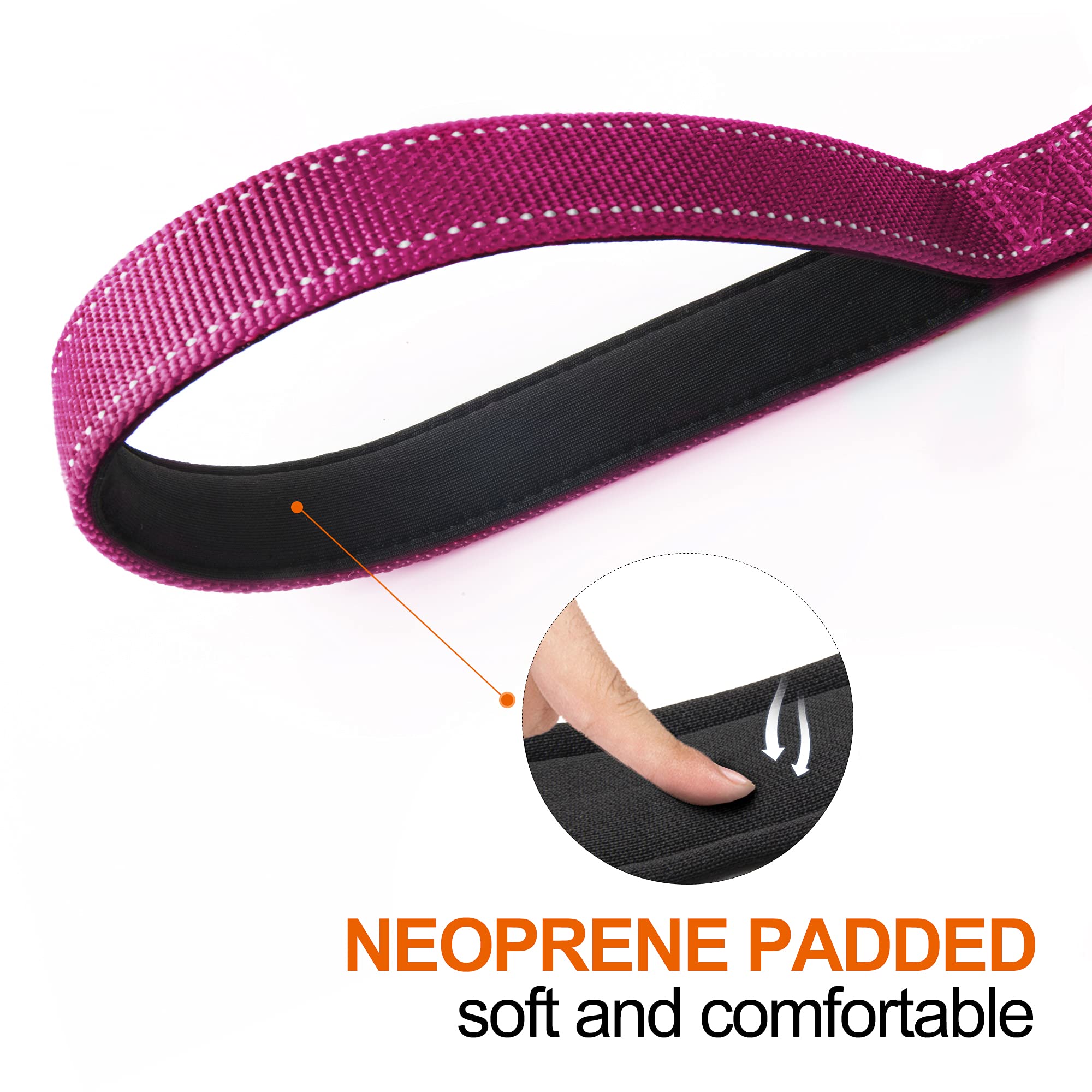 TwoEar Dog Leash - 4FT 1IN Nylon Rose with 2 Padded Handles & Reflective Auto Lock Hook for Small, Medium, and Large Dogs