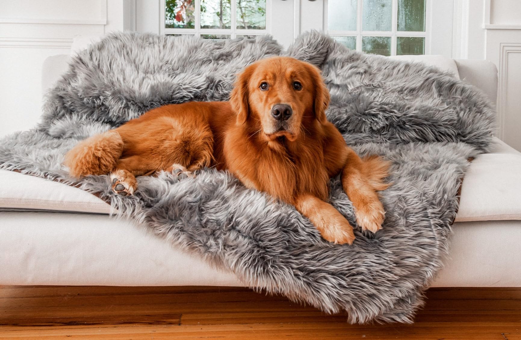 Pupprotector Waterproof Throw Blanket For Dogs And Cats, Pet Blanket Cover For Couches, Sofas, Beds, Car Seats, Furniture, Calming Soft Faux Fur, Charcoal Grey, Original (60' L X 50' W)