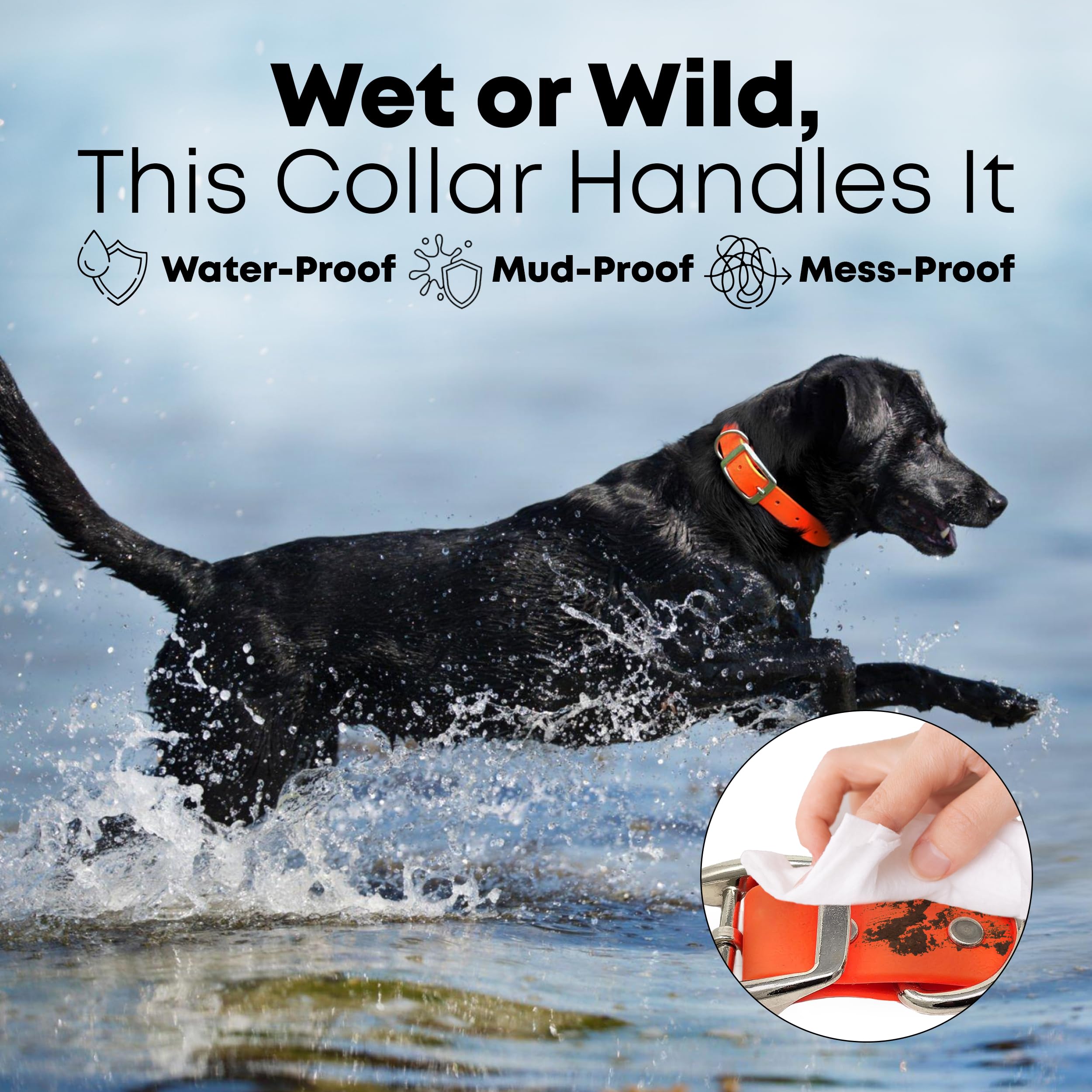 Regal Dog Products Medium Orange Dog Collar With Heavy Duty Double Buckle & D Ring | Vinyl Coated, Custom Fit, Adjustable Biotha