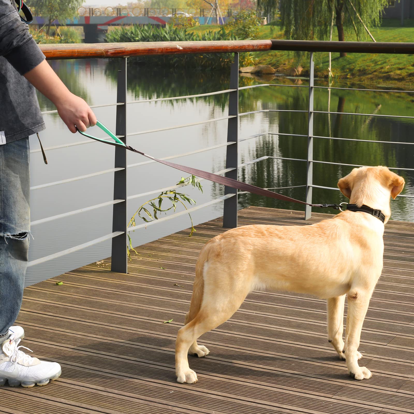 VIVAGLORY Dog Training Leash With Comfortable Padded Handle, Heavy Duty Reflective for Safety Walking, Medium & Large Dogs