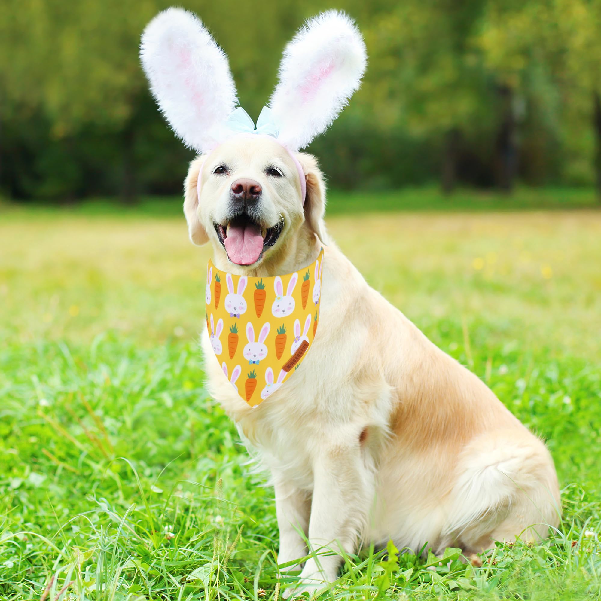 Adoggygo Easter Dog Bandana, Egg Rabbit Carrot Pet Scarf, Premium Durable Fabric, White Orange Easter Bandanas For Extra Large D