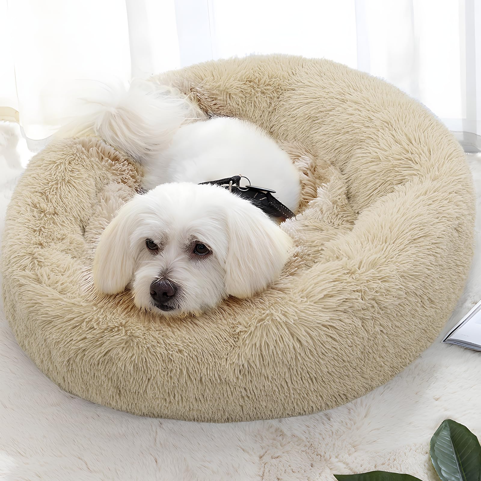 Magshion Long Plush Calming Dog Beds For Medium Dogs, Comfy Cuddler Donut Cat Beds For Indoor Cats, Machine Washable & Non-Slip