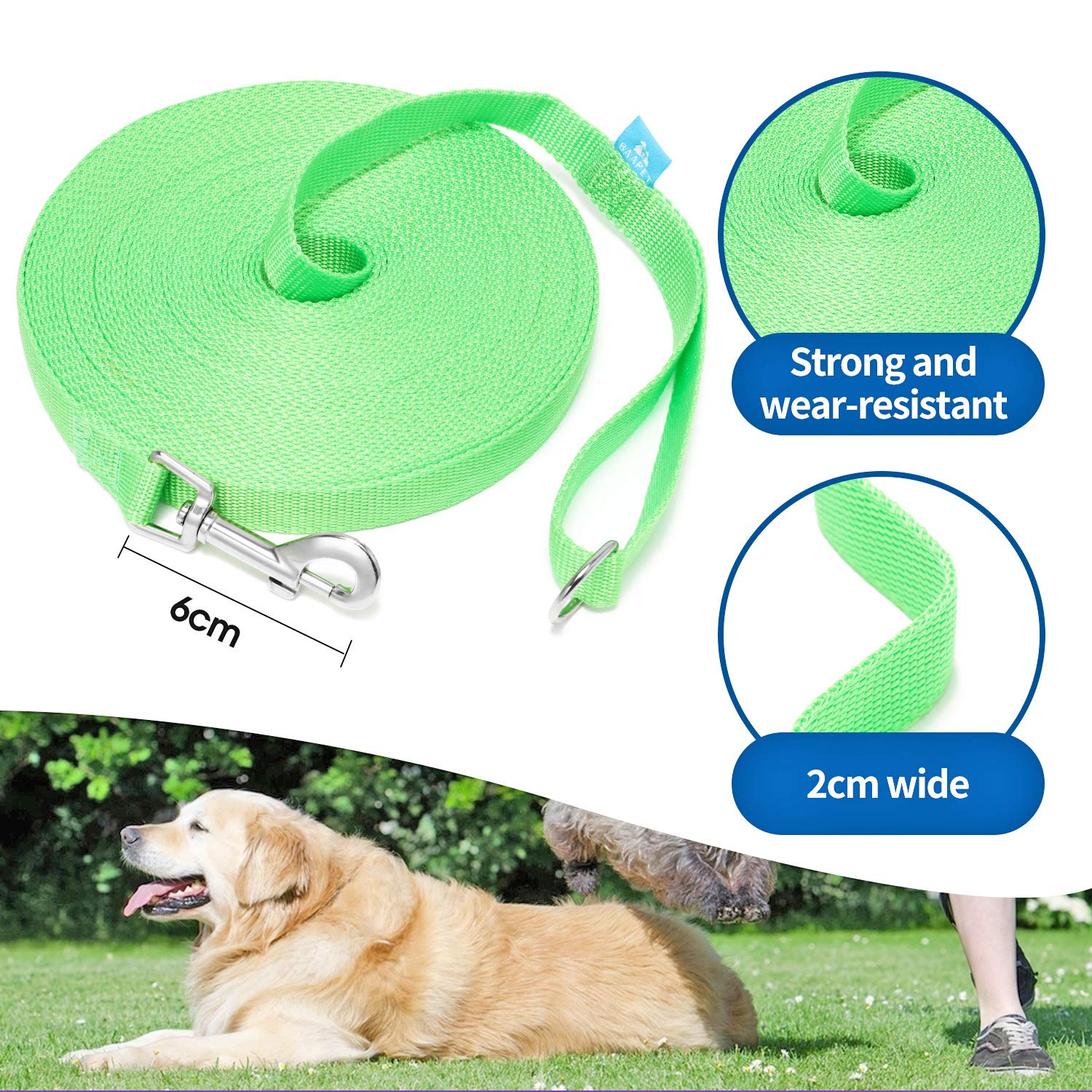 Baapet 15 Ft 20 Ft 30 Ft 50 Ft 100 Ft Long Dog Training Leash For Dog Training, Play, Camping, Or Backyard Lead With Training Clickers For Small, Medium And Large Dogs Or Cats (100 Feet, Springgreen)