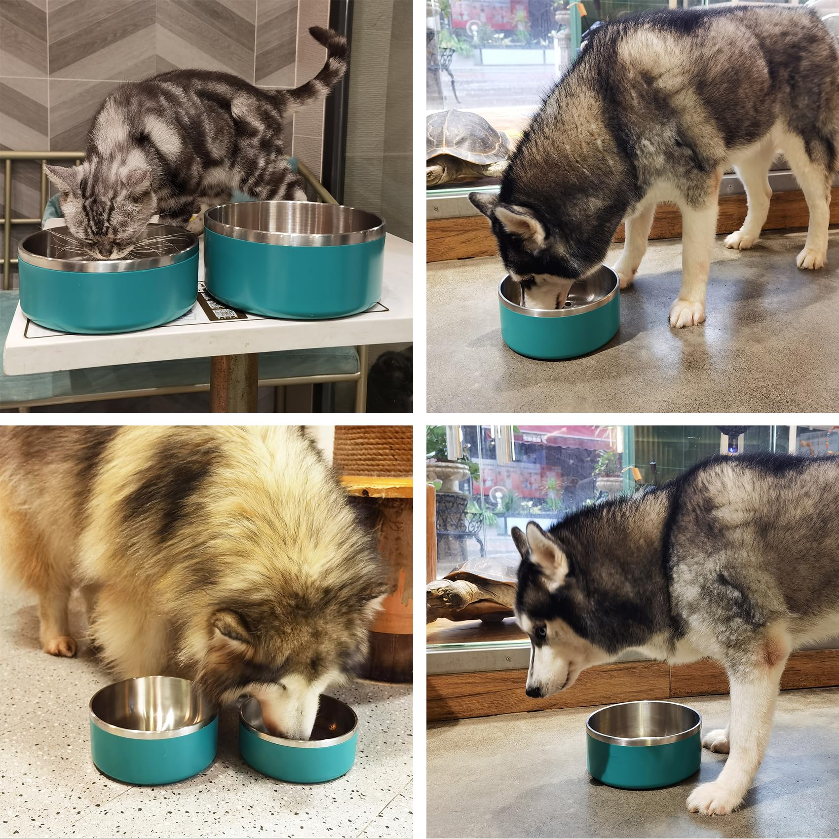LIHONG Stainless Steel Dog Bowls for Small Medium Sized Dogs Non Slip,Insulated Dog Bowl,Pet Bowl for Food and Water,Rustproof(4