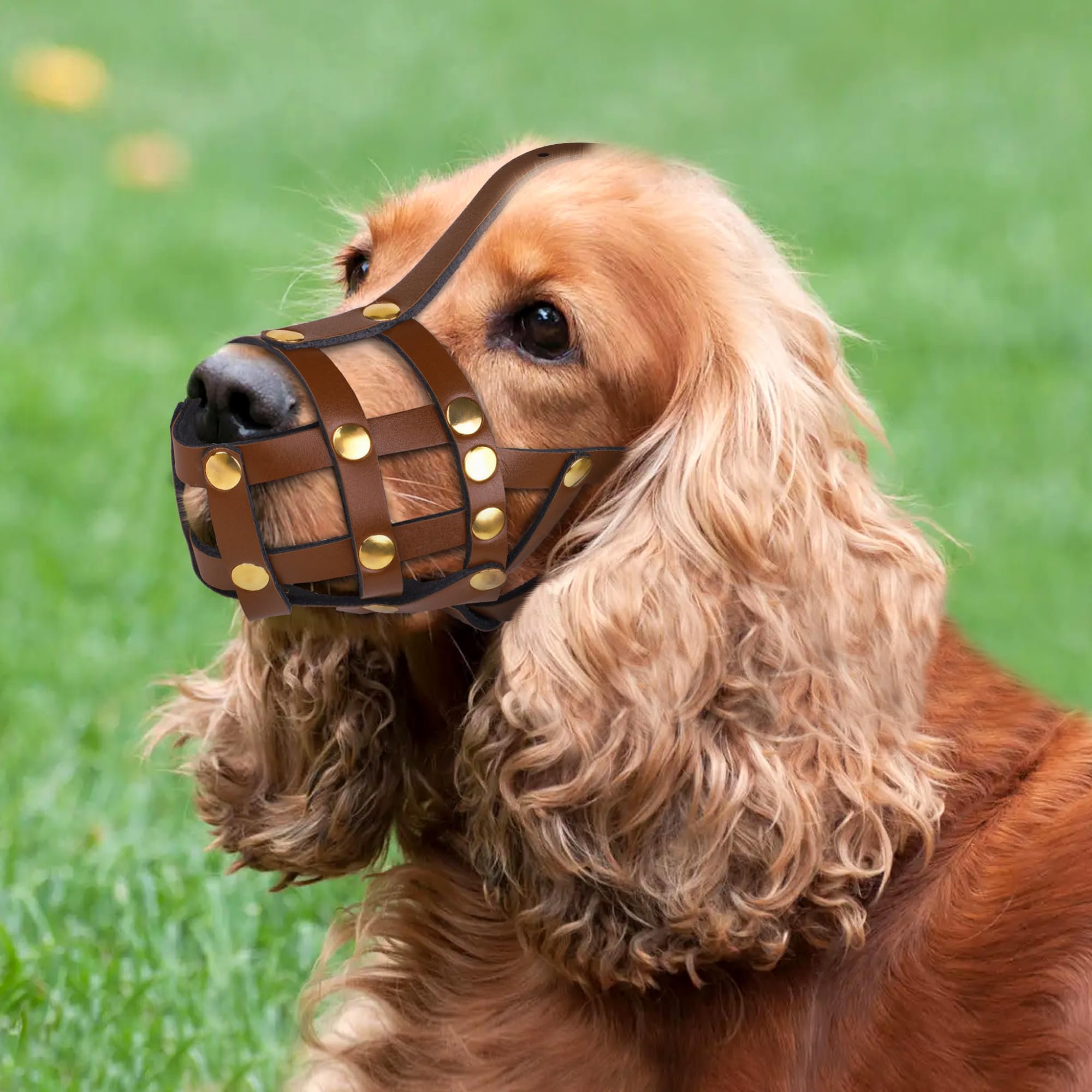Oopsdoggy Cocker Spaniel Dog Muzzle For Small Dogs - Leather Breathable Secure Basket Muzzle For Small Medium Breeds Prevents Bi