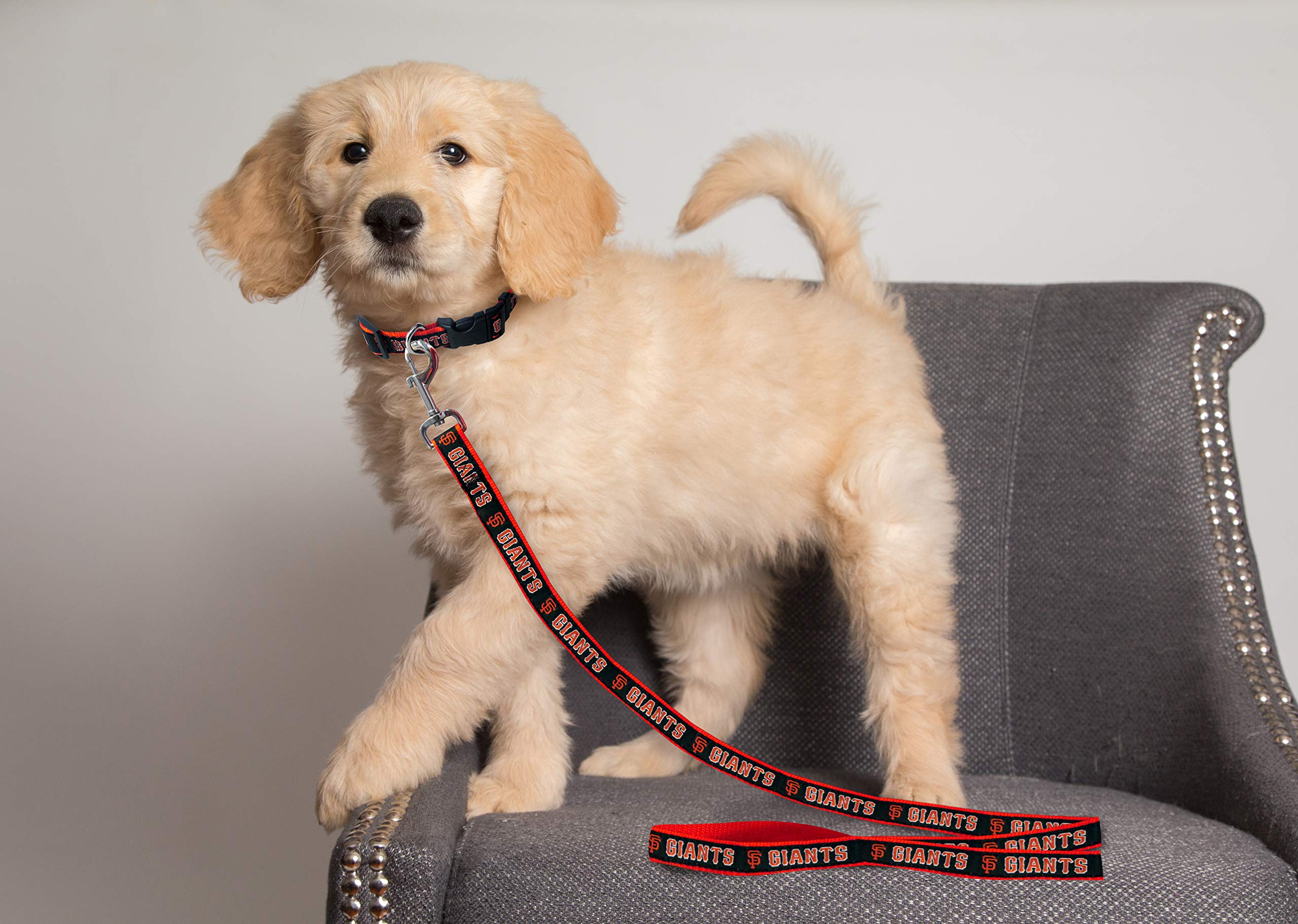 Mlb Pet Leash, Small, San Francisco Giants Dog Leash, Baseball Team Leash For Dogs & Cats. A Shiny & Colorful Dog & Cat Leash Wi