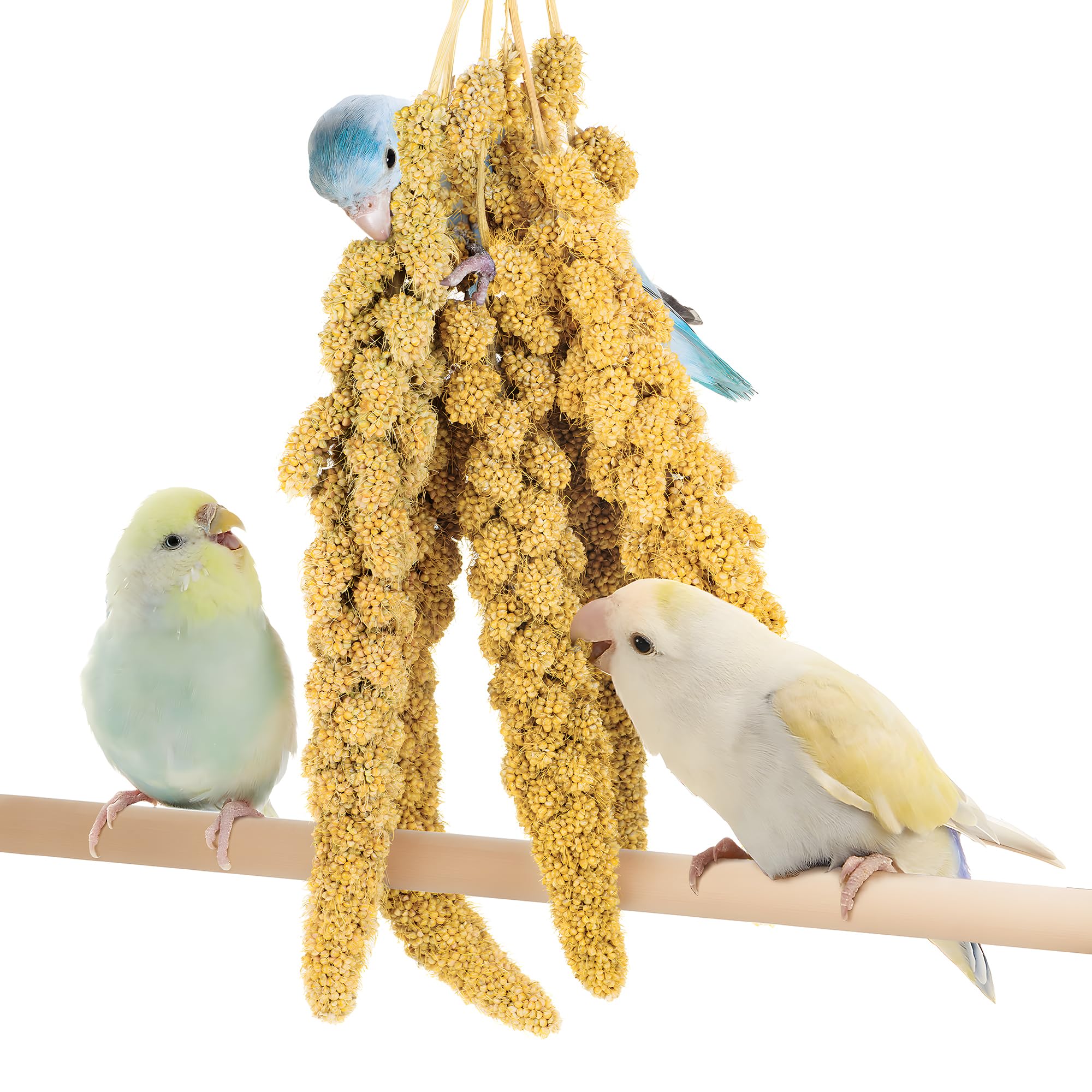 BUCATSTATE Spray Millet for Birds, Sun-Dried Healthy Millet Parakeet Treats for Parrots Cockatiel Lovebird Finch, GMO-Free Parak