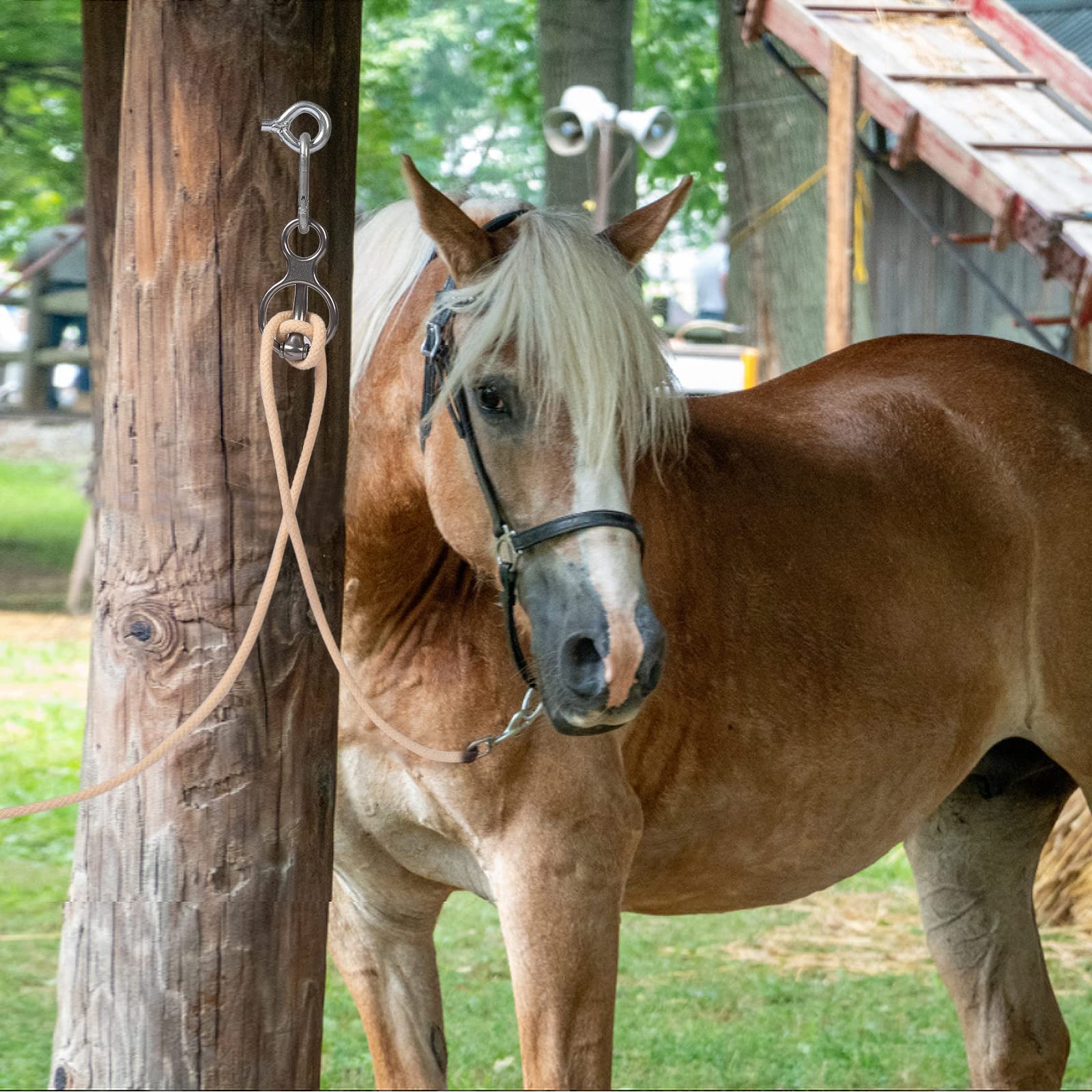 Blocker Tie Ring For Horses,Horse Tack And Supplies Horse Accessories,Horse Tie Ring Prevents Horses From Pulling Back Sturdy St