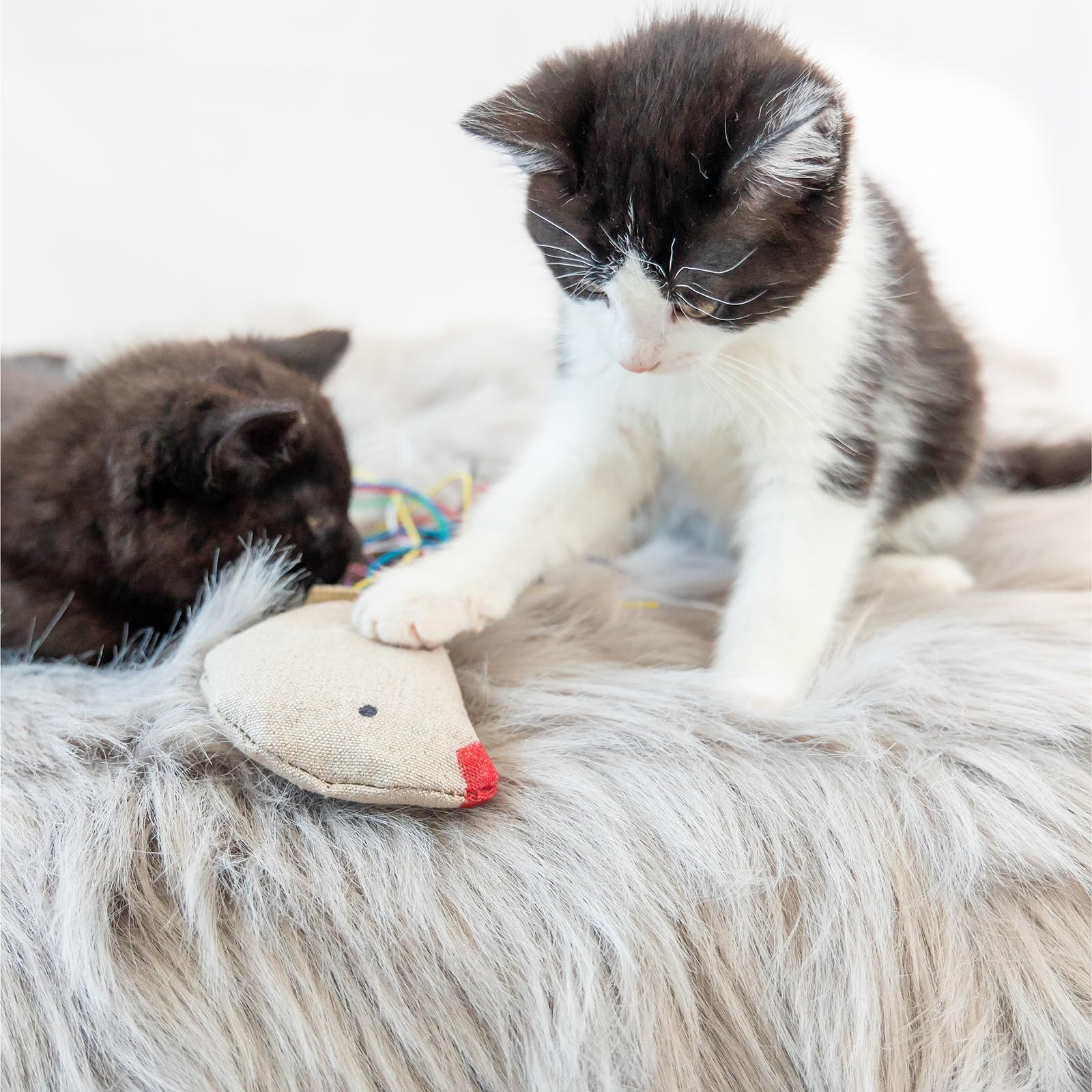 Honest Pet Products Eco Kitty Bird Is A Truly Natural And Safe Toy For Your Kitty. Filled With Organic Catnip, Enticing Rattle A