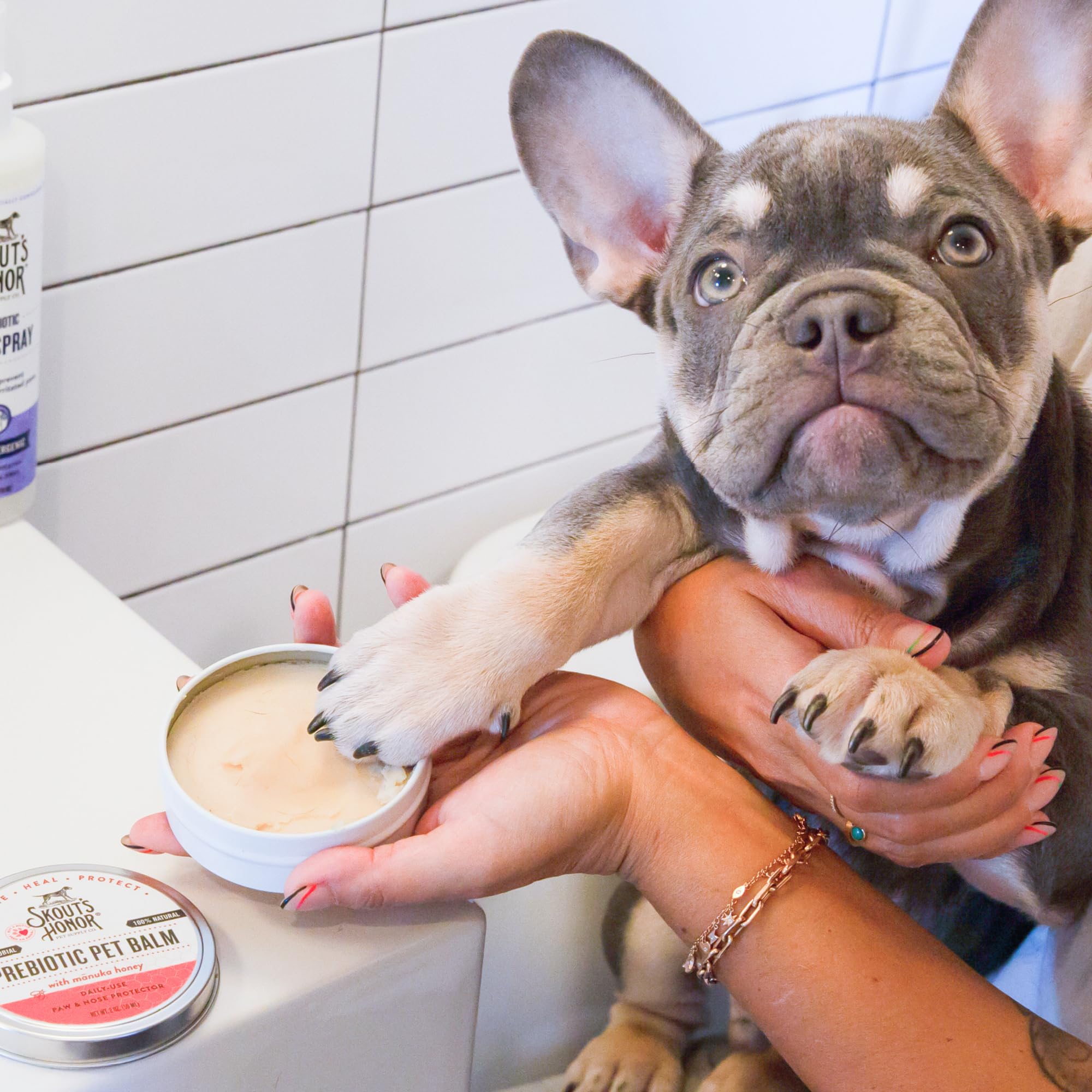 SKOUTS HONOR Prebiotic Pet Balm - 100% Natural and Made with Manuka Honey, Soothes Dry, Itchy Paws and Noses - Safe for Cats an