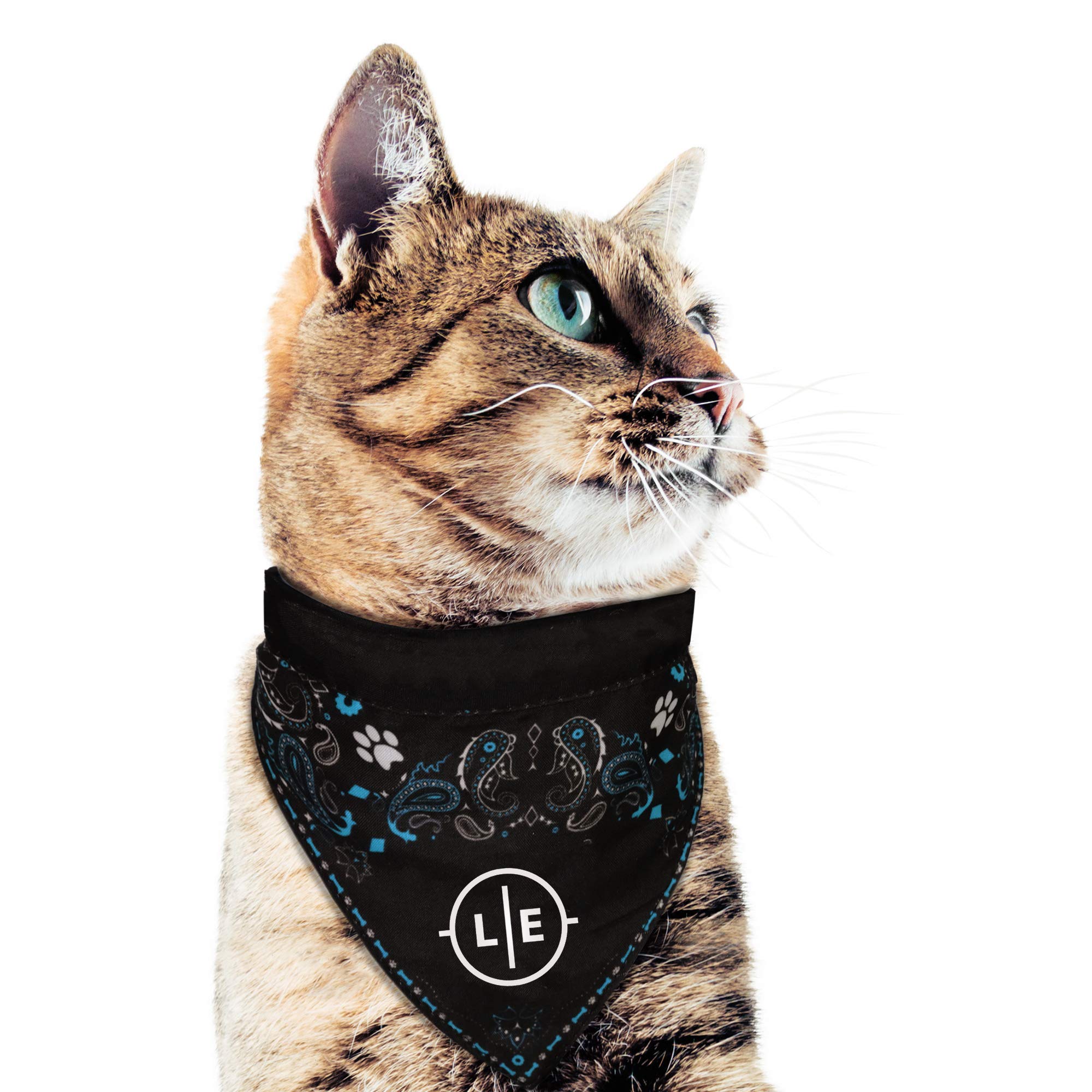 Littlearth Unisex-Adult Ncaa Wisconsin Badgers Pet Bandana, Team Color, Large