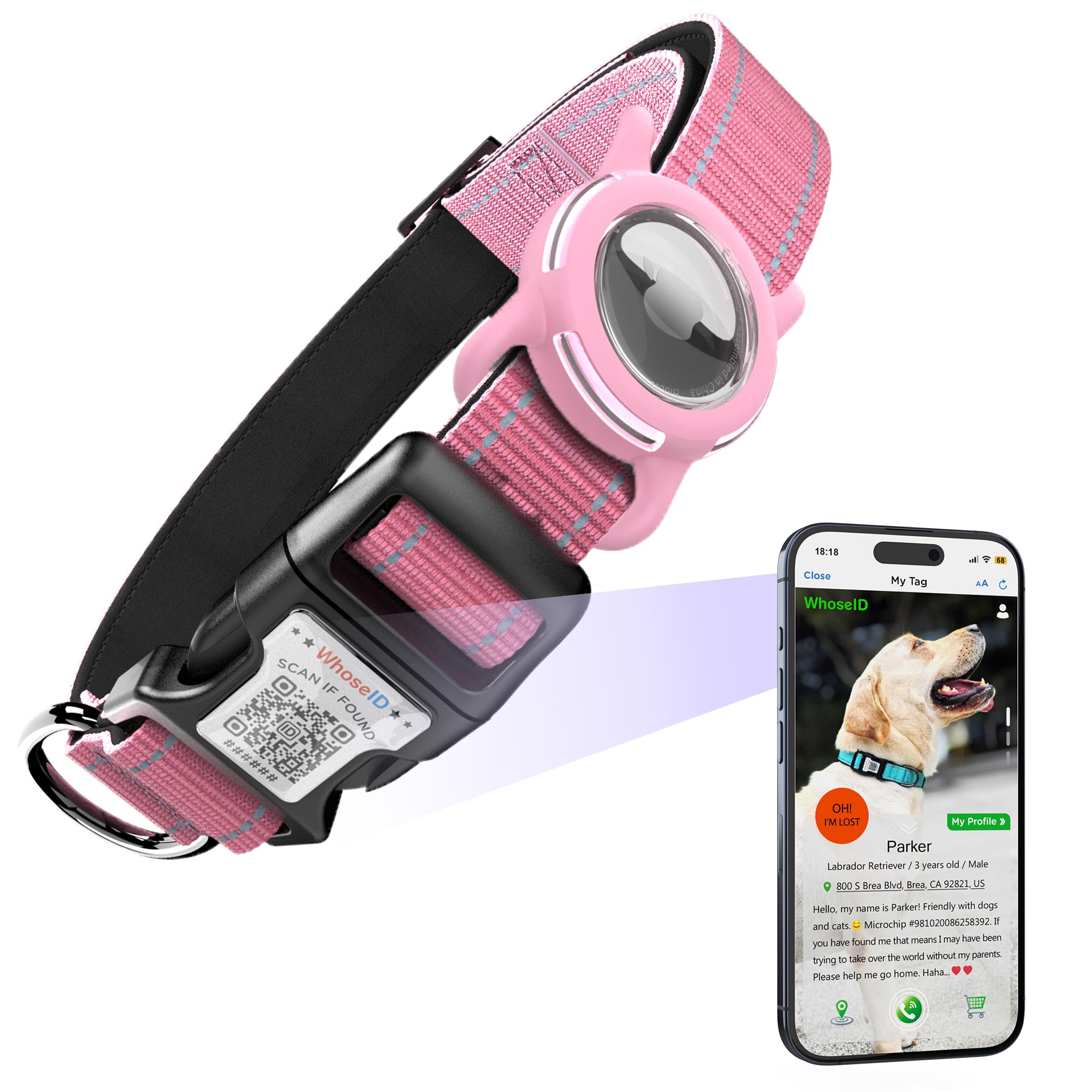Airtag Dog Collar With QR Code, Reflective, Soft Padded & Safety Locking Buckle - Adjustable for Medium Dogs (M-With Airtag Hold