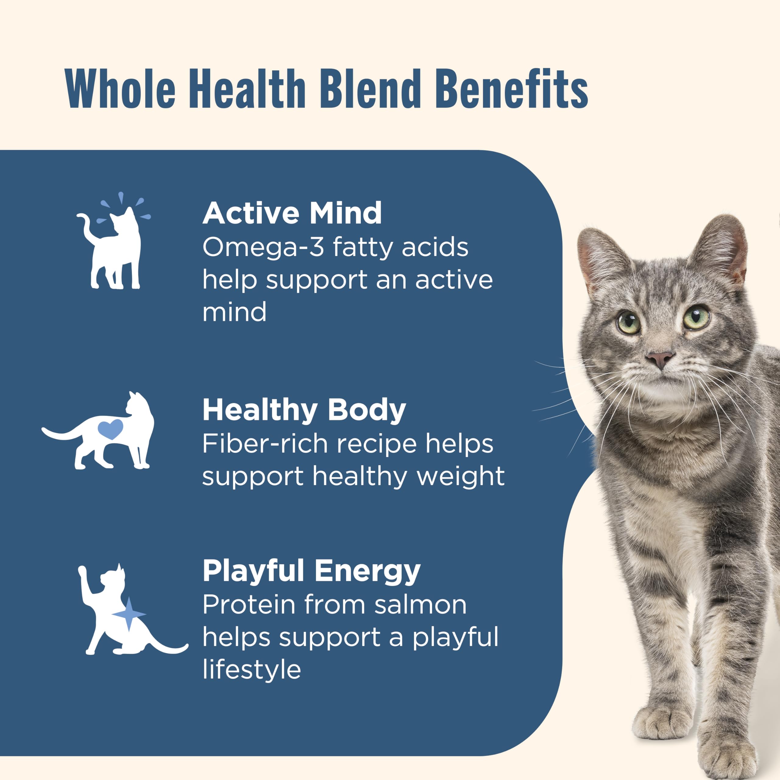 Nutrish Real Salmon & Brown Rice Recipe Dry Cat Food, 14 lb. Bag, Packaging May Vary (Rachael Ray)