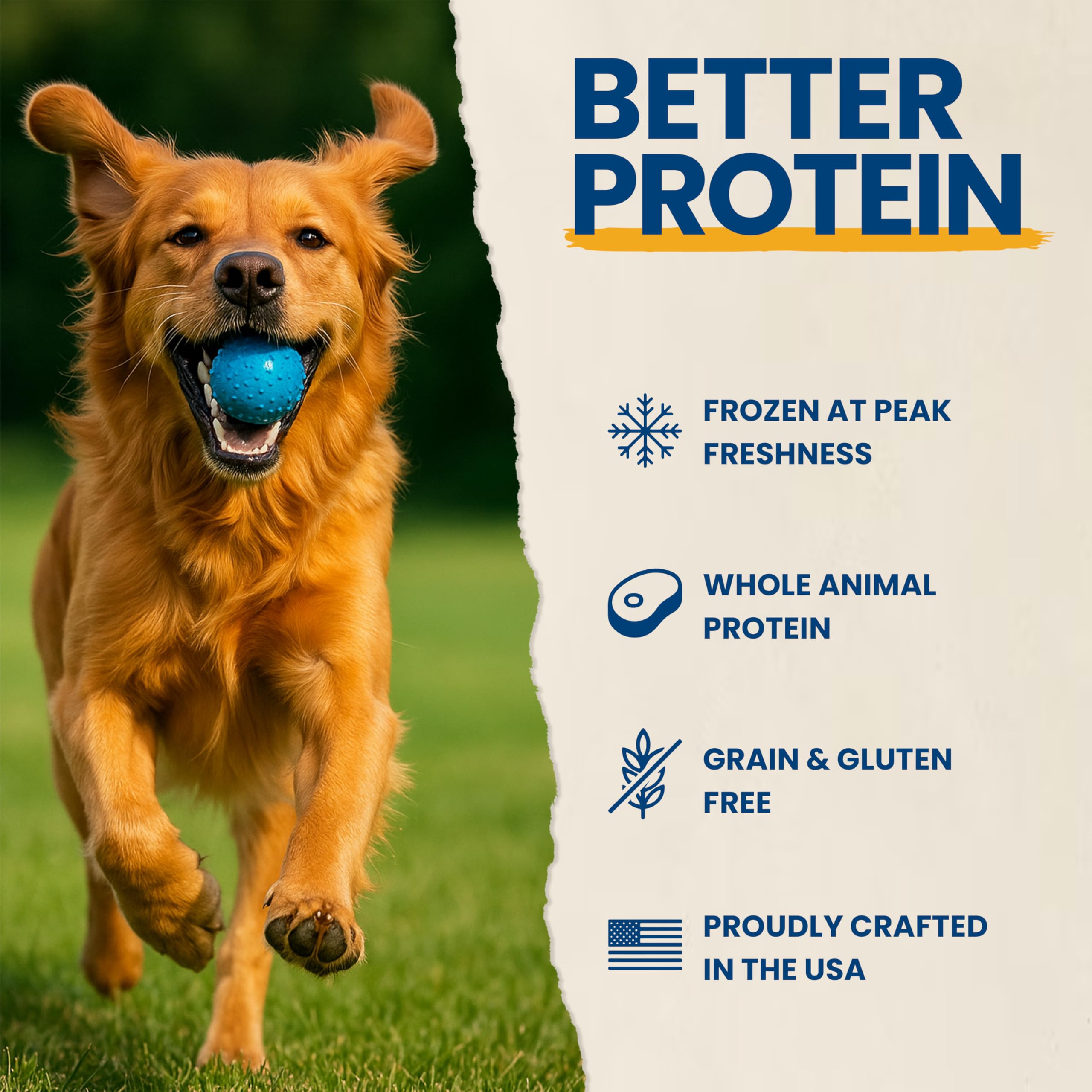 Brightway Pets Primal Protein Bites - Freeze Dried Raw Chicken Dog Treats | High Protein, Cage-Free Chicken & Liver | Made in US