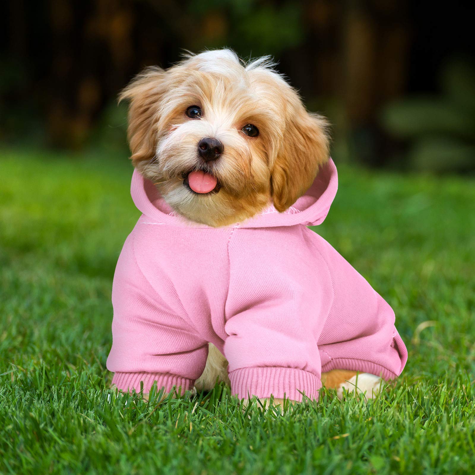 2 Pieces Winter Dog Hoodie Warm Small Dog Sweatshirts with Pocket Cotton Coat for Chihuahua Clothes Puppy Costume(M,Pink, Light