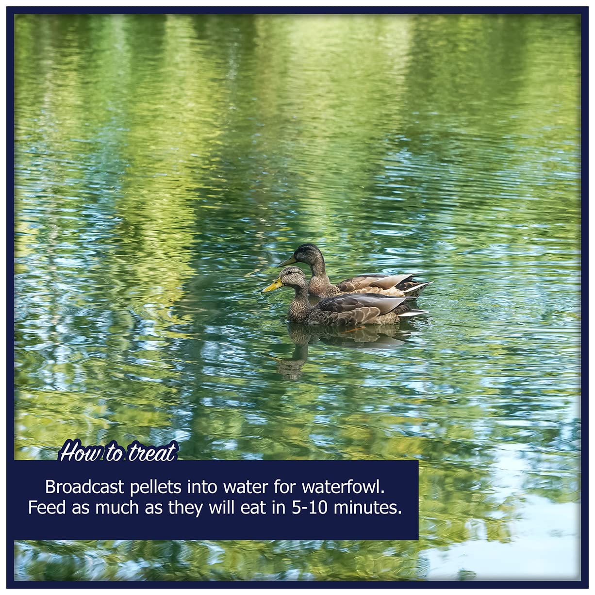 Natural Waterscapes Waterfowl Feed | Floating Pellets for Duck, Swan, Goose | 5 lb Resealable Bag | Use for Wild Duck, Pet Duck