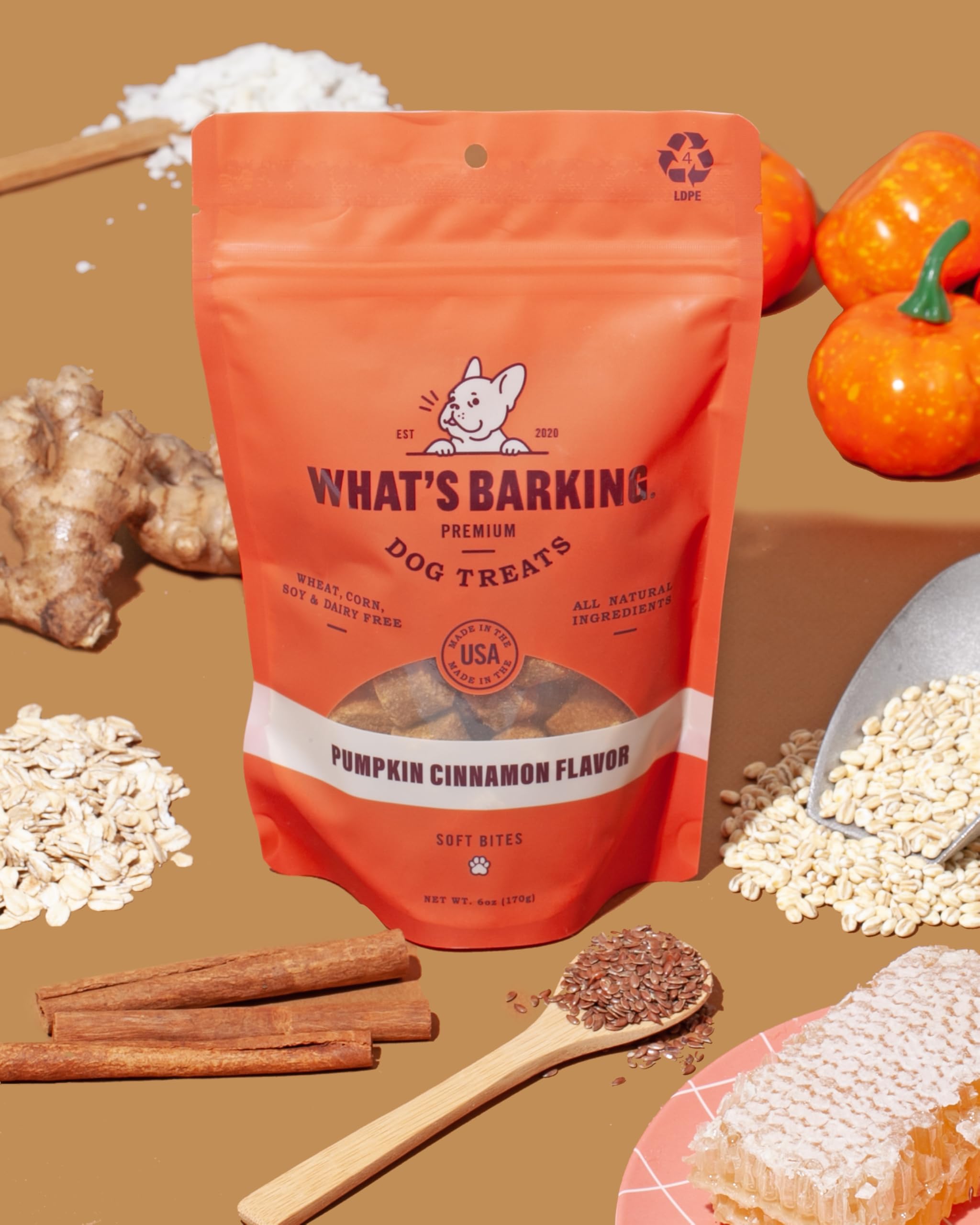 Whats Barking Soft Bites - Premium Dog Treats, Natural Ingredients, Made in The USA (6 oz, Pumpkin Cinnamon)