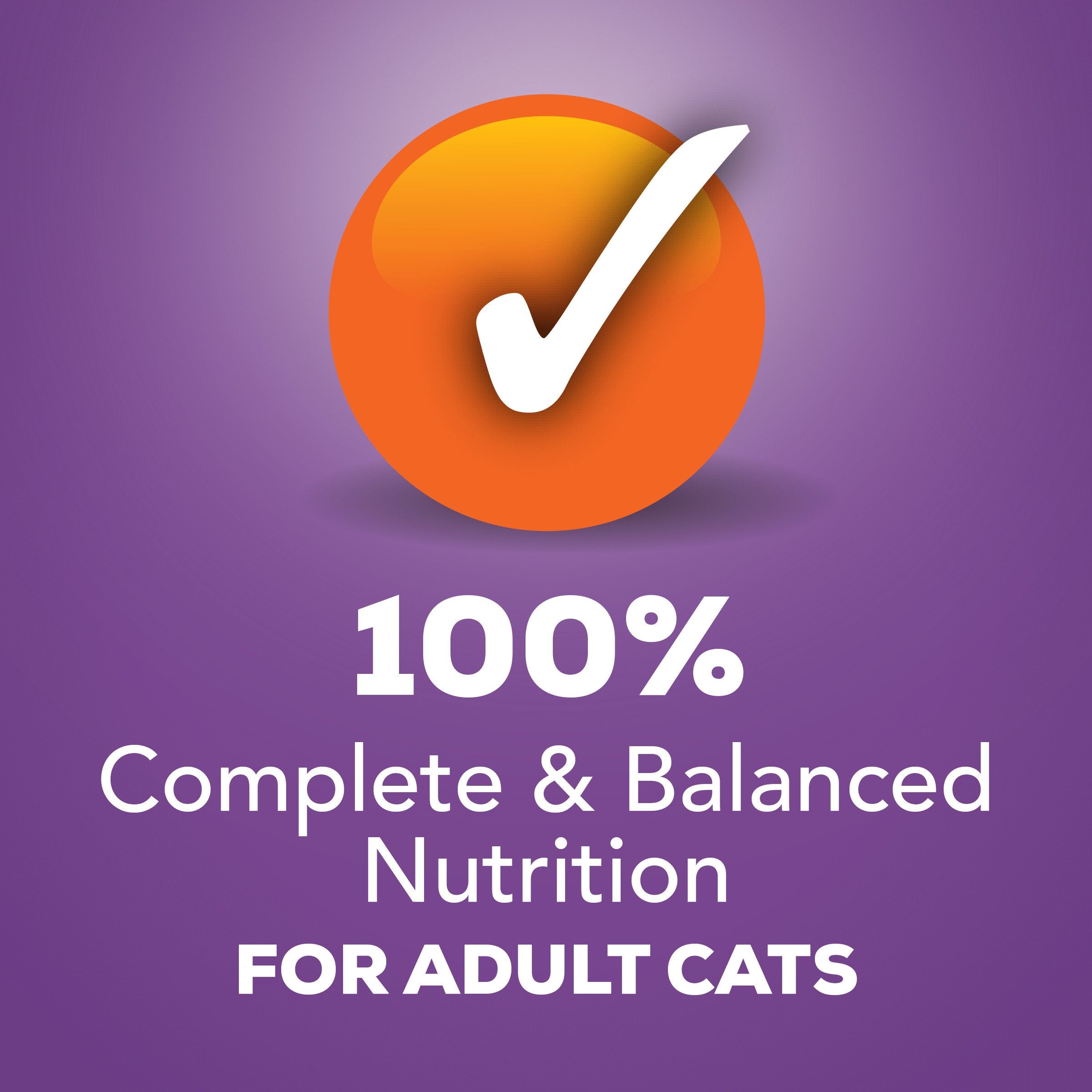 Purina Friskies Wet Cat Food Pate Turkey and Giblets Dinner - (Pack of 24) 5.5 oz. Cans