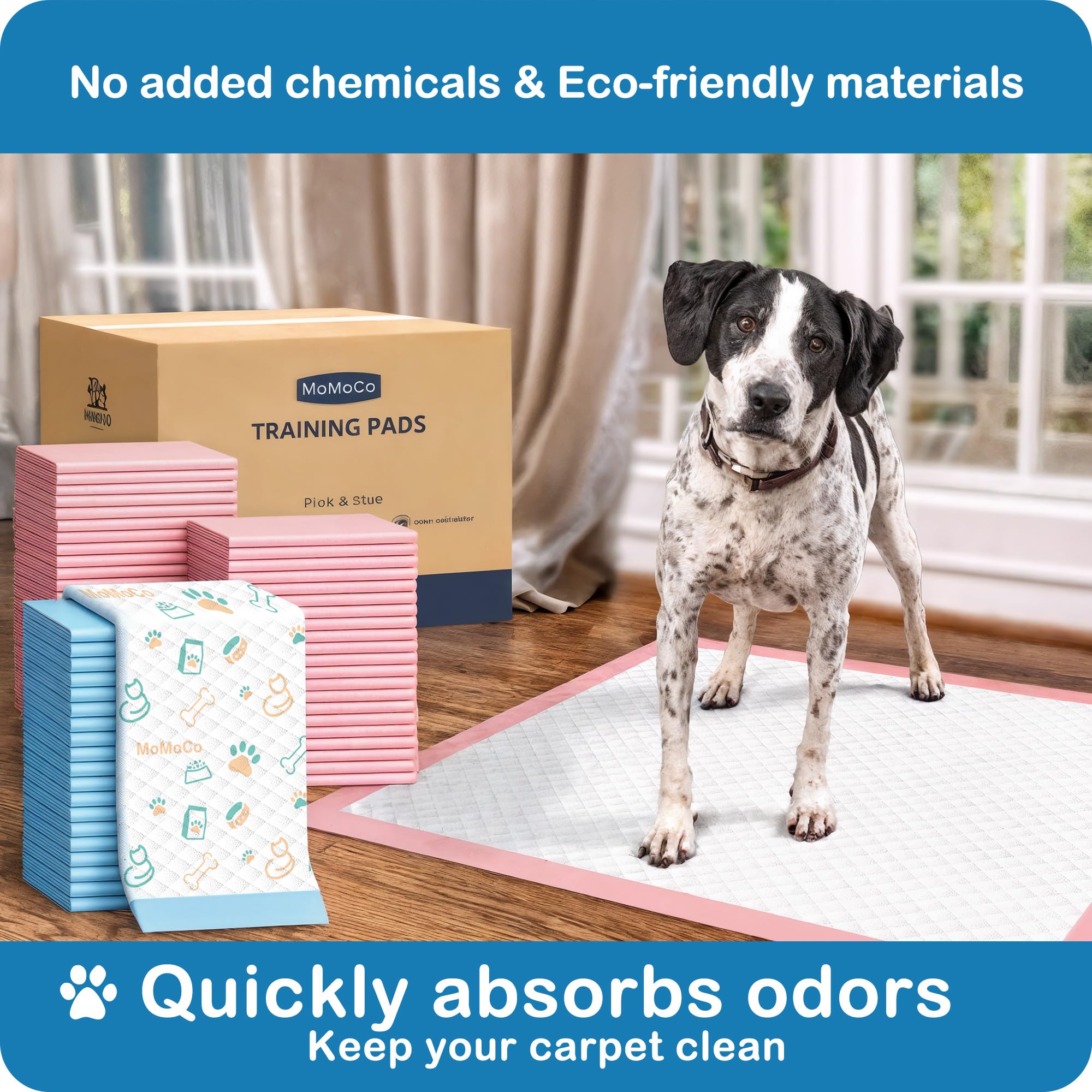 MoMoCo 200 Count Puppy Pads - 23 x23  | Super Absorbent & Leak-Proof Training Pads | Value Pack Potty Pads for Dogs, Cats & Rabb