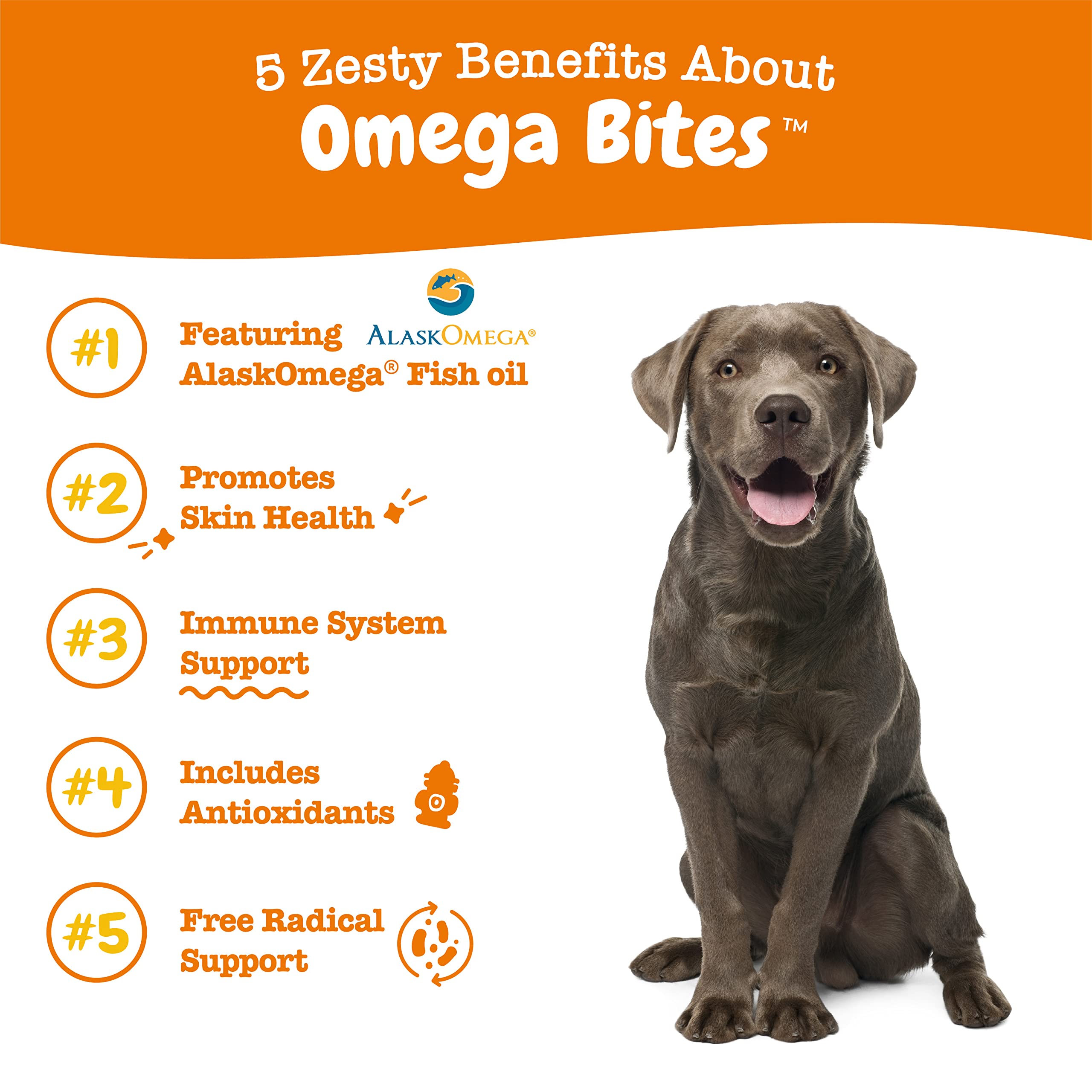 Zesty Paws Omega 3 Alaskan Fish Oil Chew Treats for Dogs - with AlaskOmega for EPA & DHA Fatty Acids - Hip & Joint Support + Ski